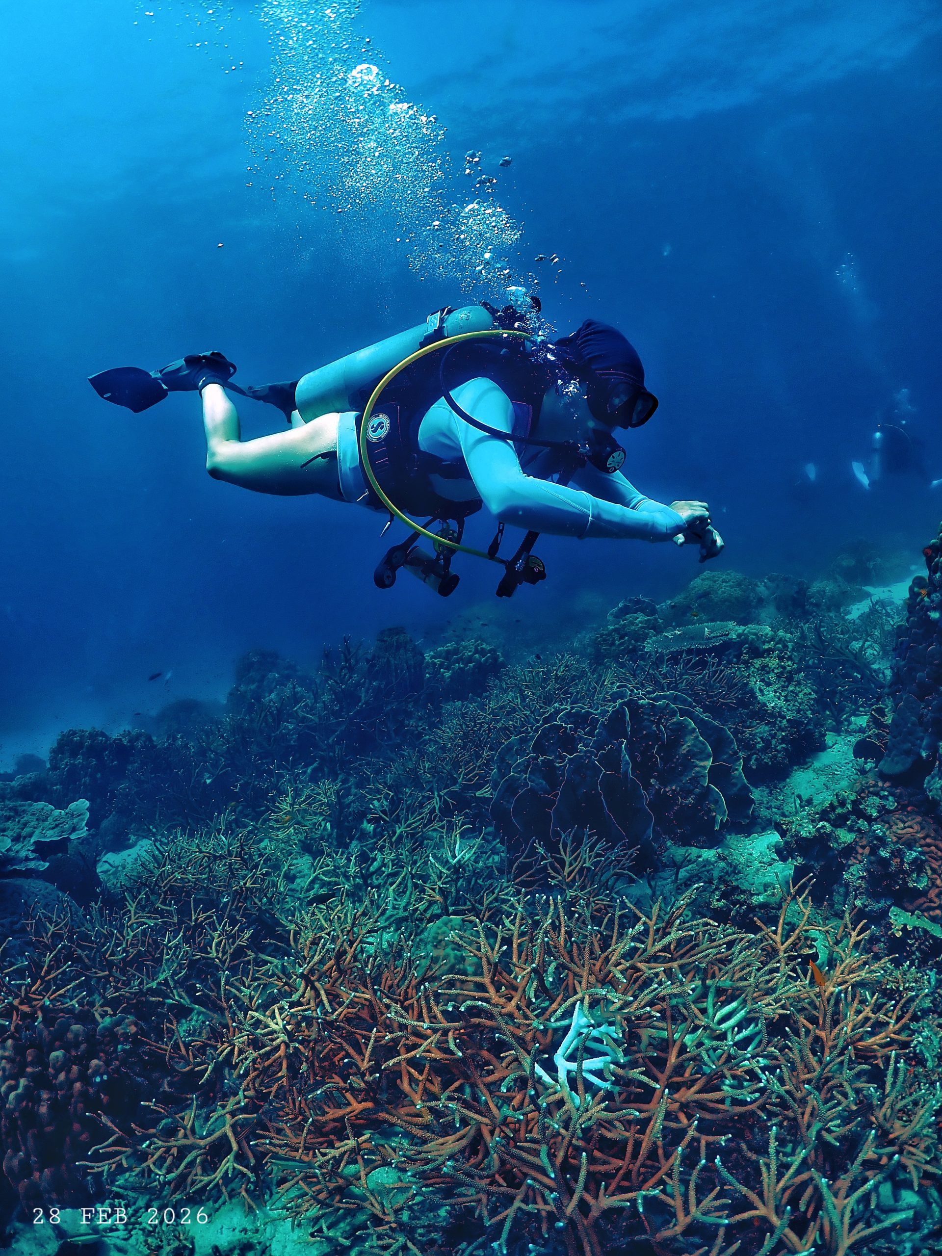 1000053409(1) – Simple Life Divers Koh Tao Thailand