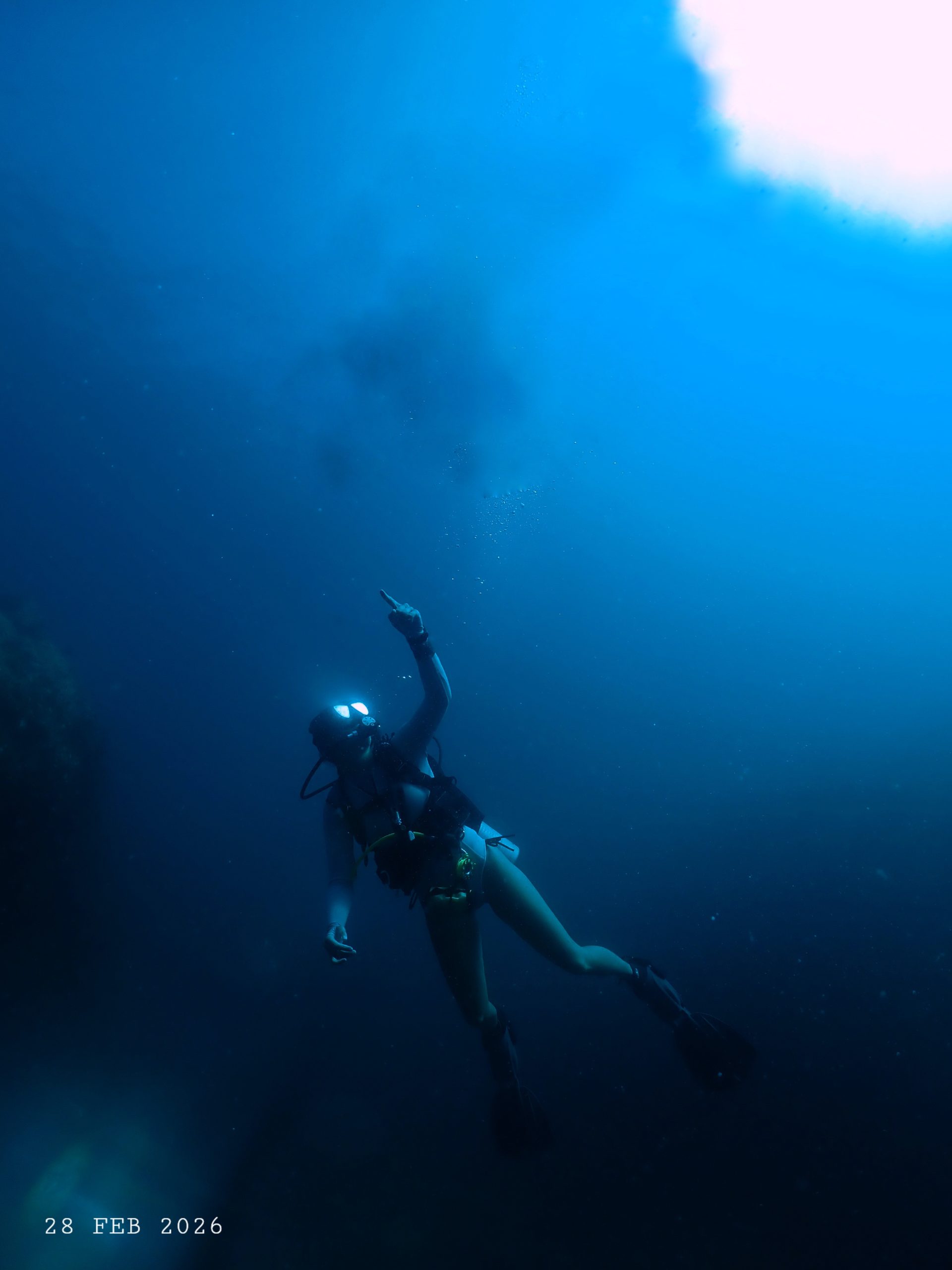 1000053727(1) – Simple Life Divers Koh Tao Thailand