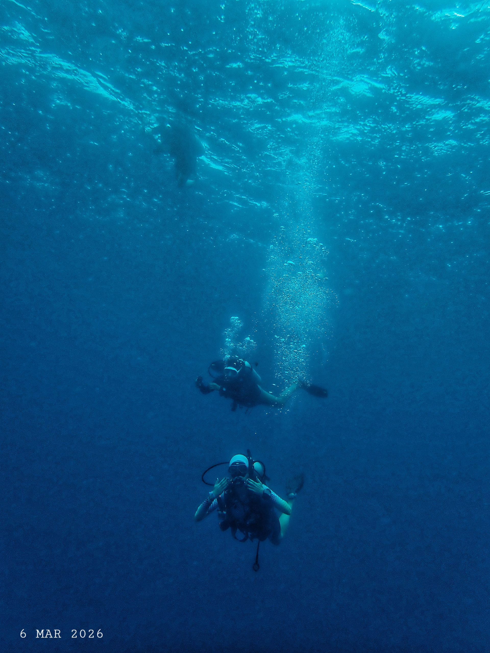 1000054276 – Simple Life Divers Koh Tao Thailand