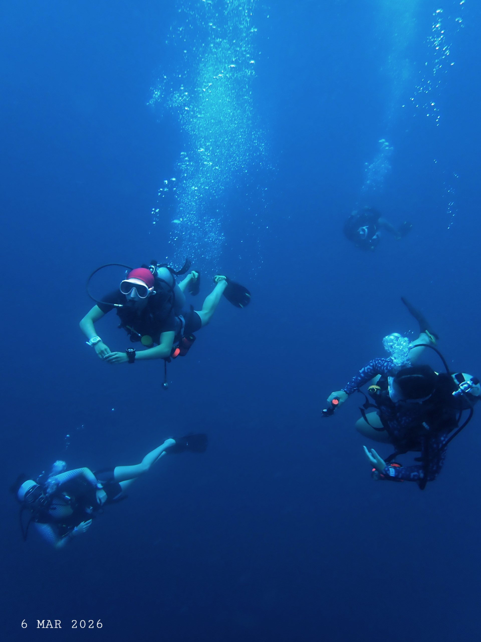 1000054285 – Simple Life Divers Koh Tao Thailand