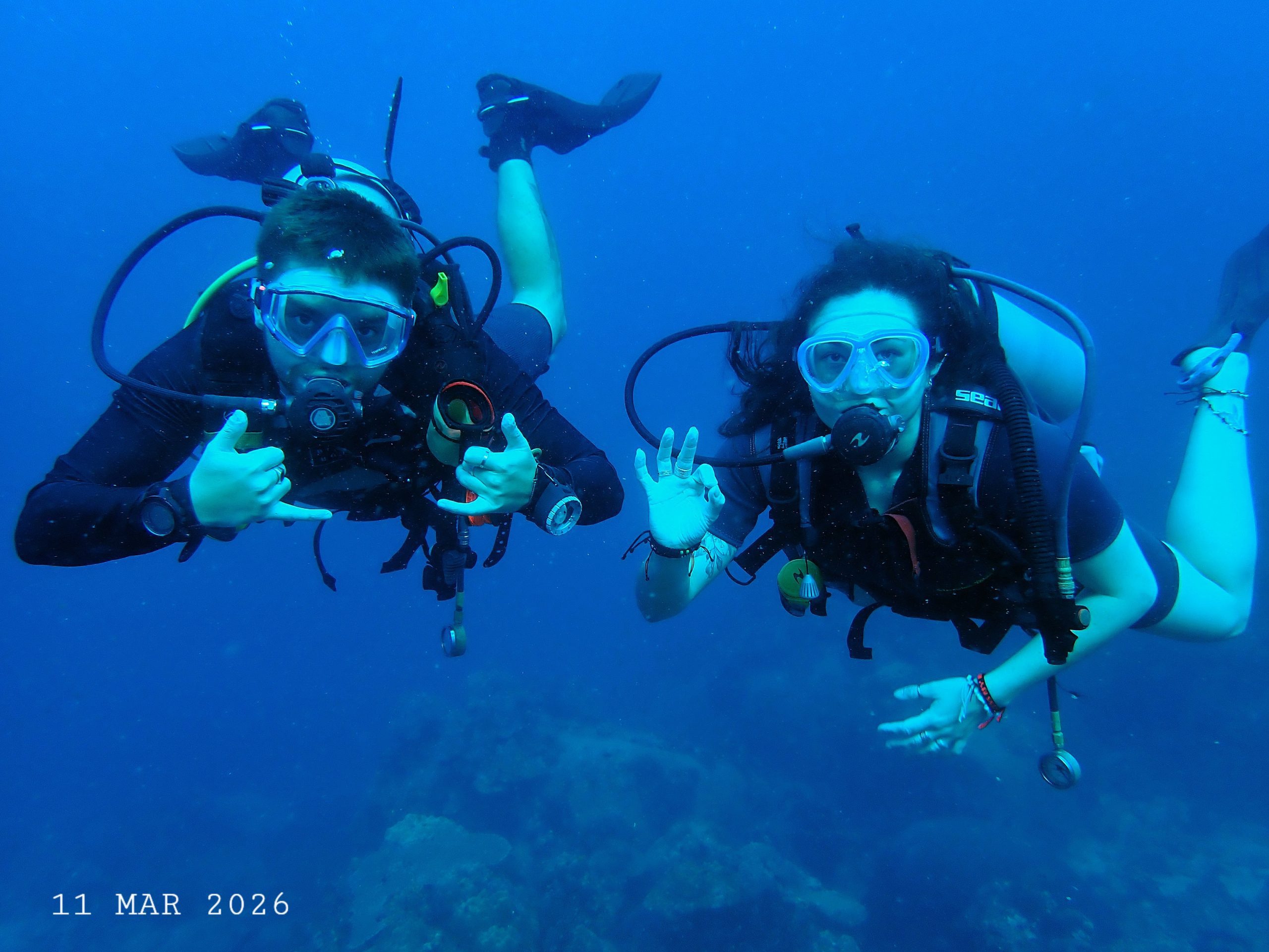 1000055826 – Simple Life Divers Koh Tao Thailand