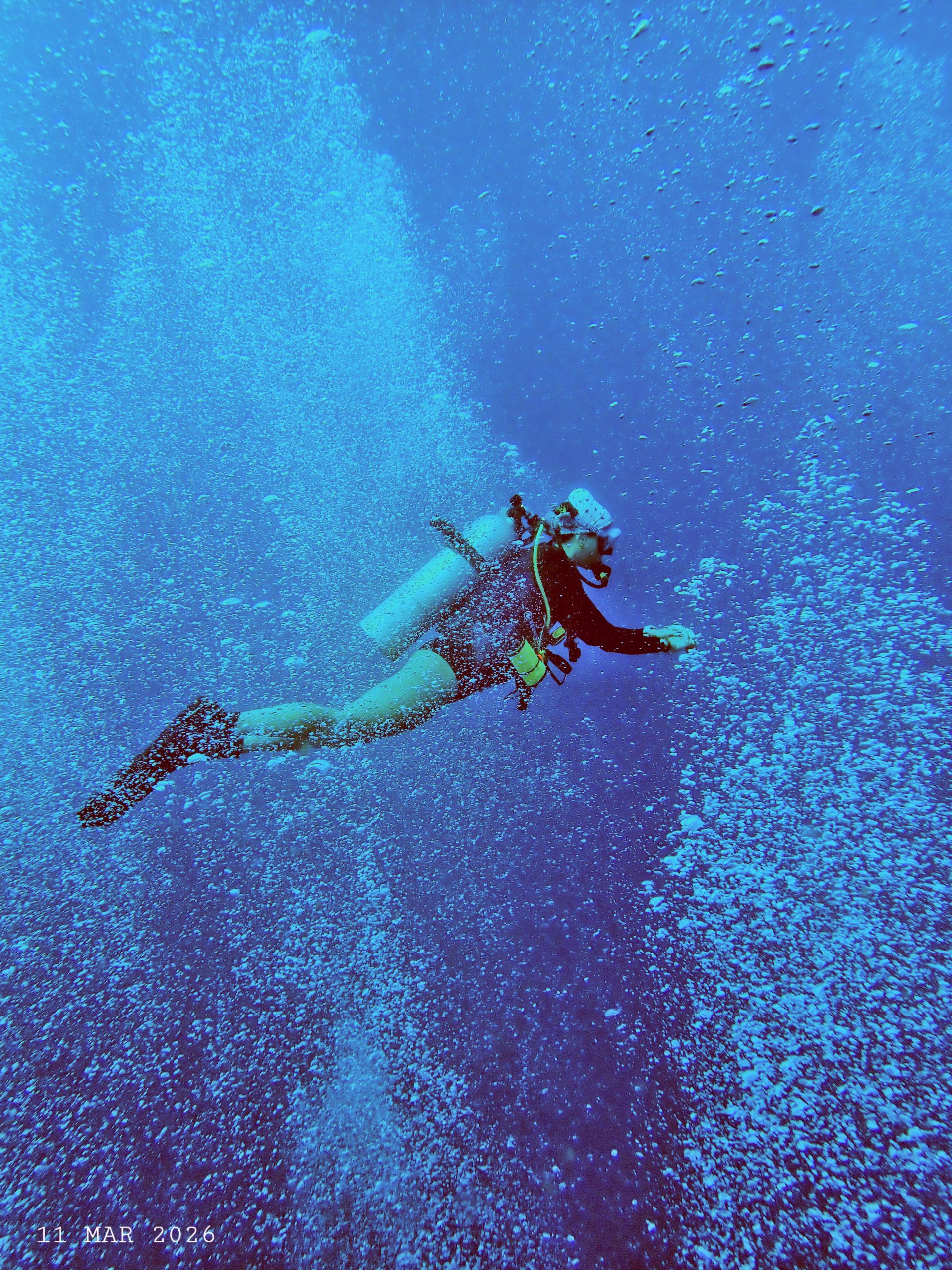 1000055955 – Simple Life Divers Koh Tao Thailand