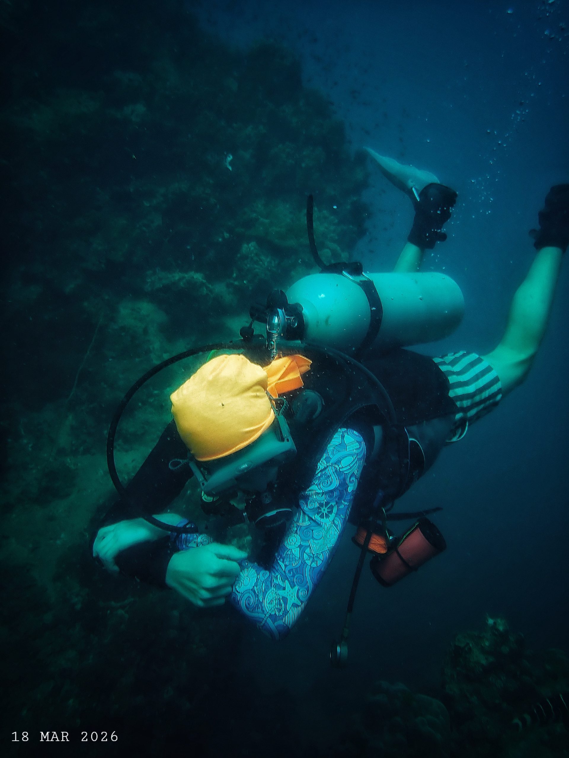 1000058645(1) – Simple Life Divers Koh Tao Thailand