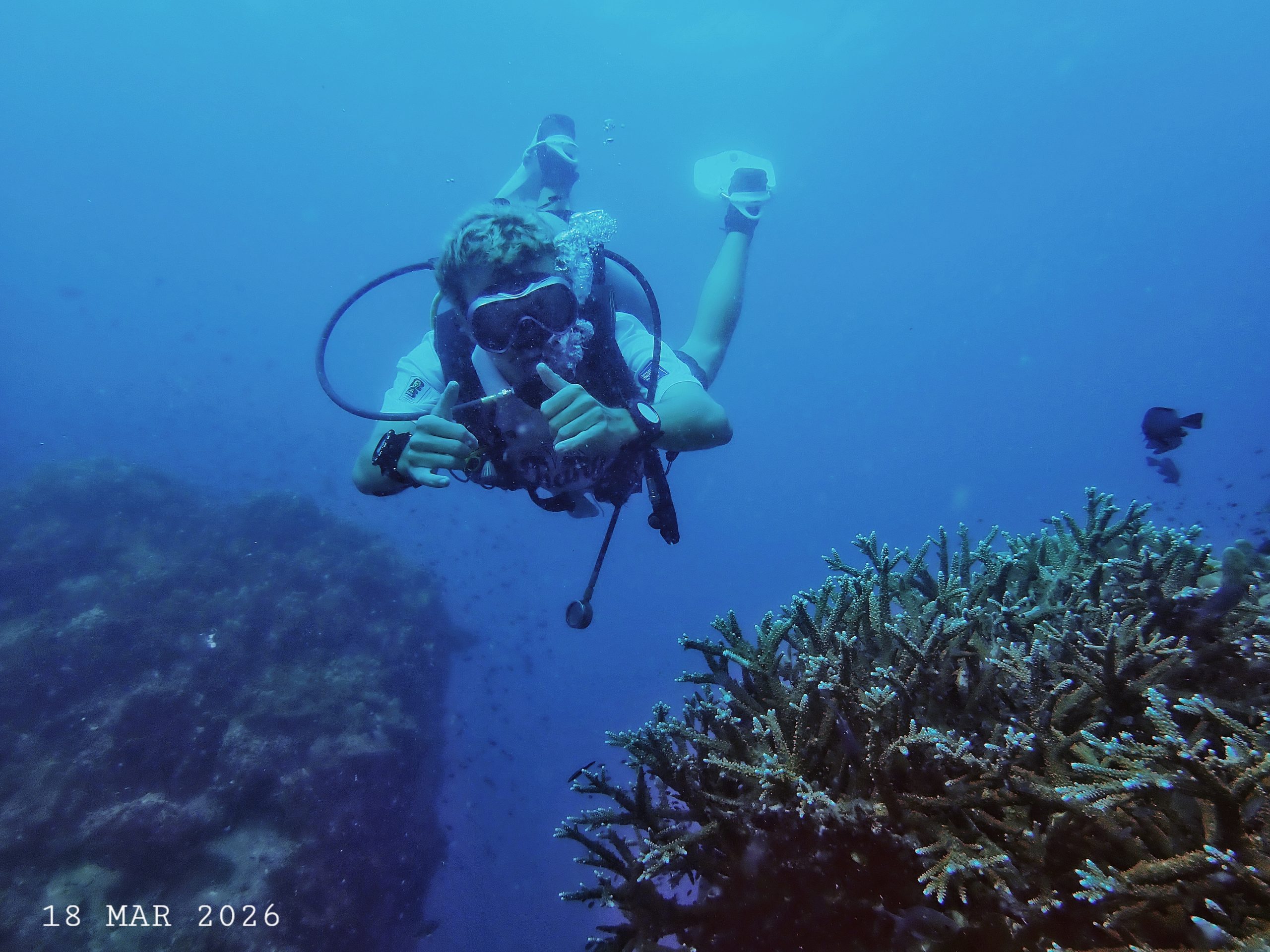 1000058657 – Simple Life Divers Koh Tao Thailand