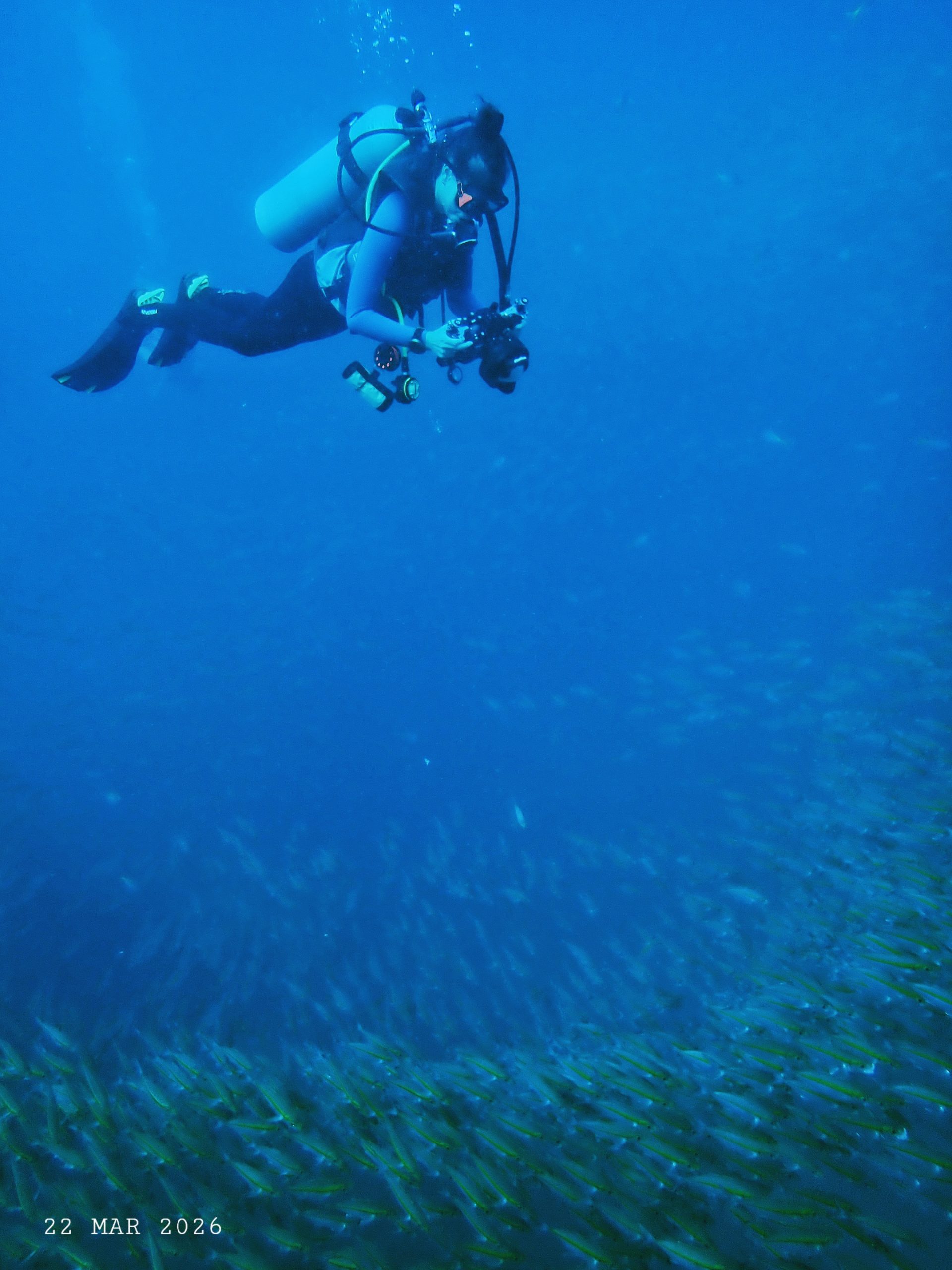 1000059910(1) – Simple Life Divers Koh Tao Thailand