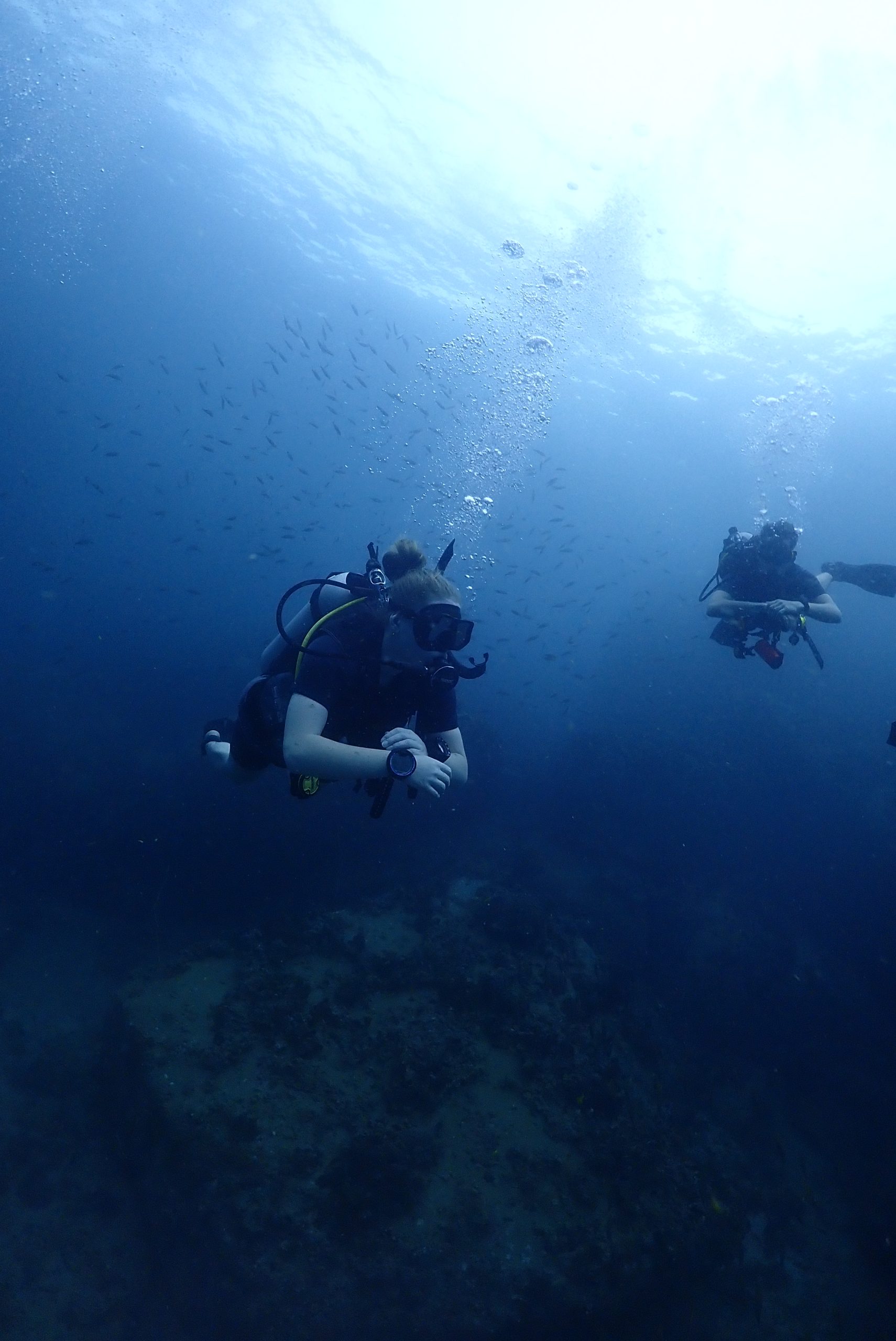 OLYMPUS DIGITAL CAMERA – Simple Life Divers Koh Tao Thailand