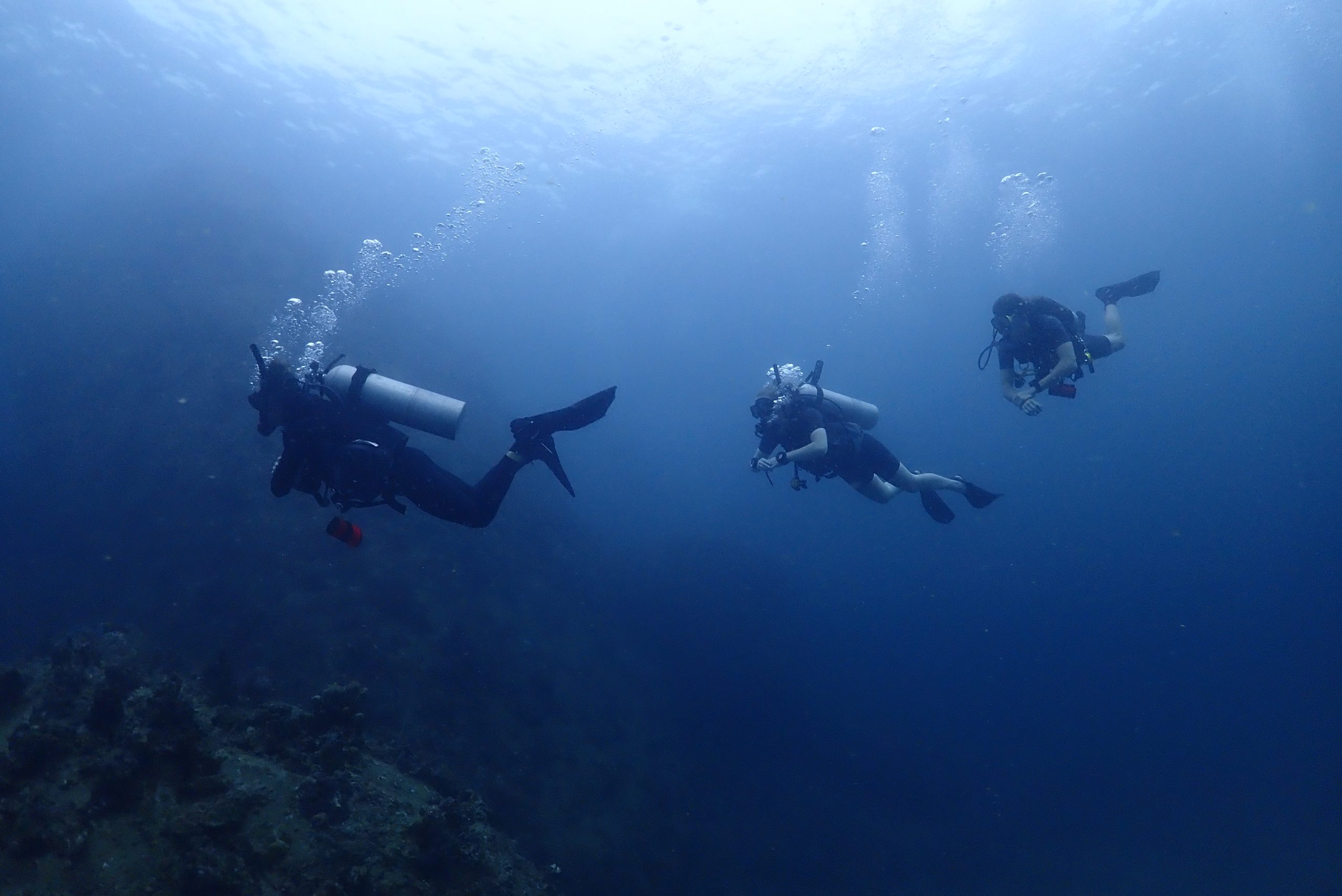 OLYMPUS DIGITAL CAMERA – Simple Life Divers Koh Tao Thailand