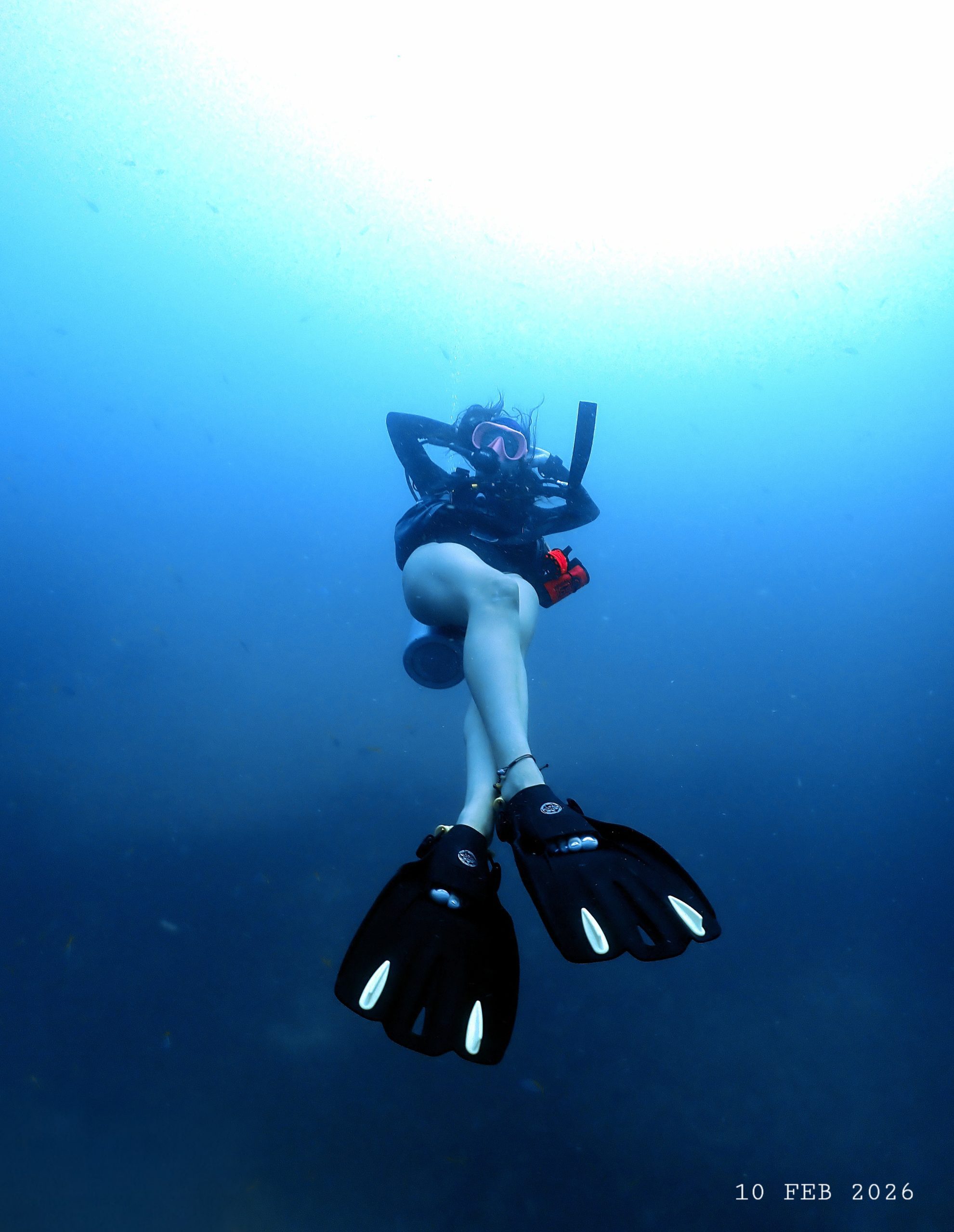 17707232290821913806738(1)(1) – Simple Life Divers Koh Tao