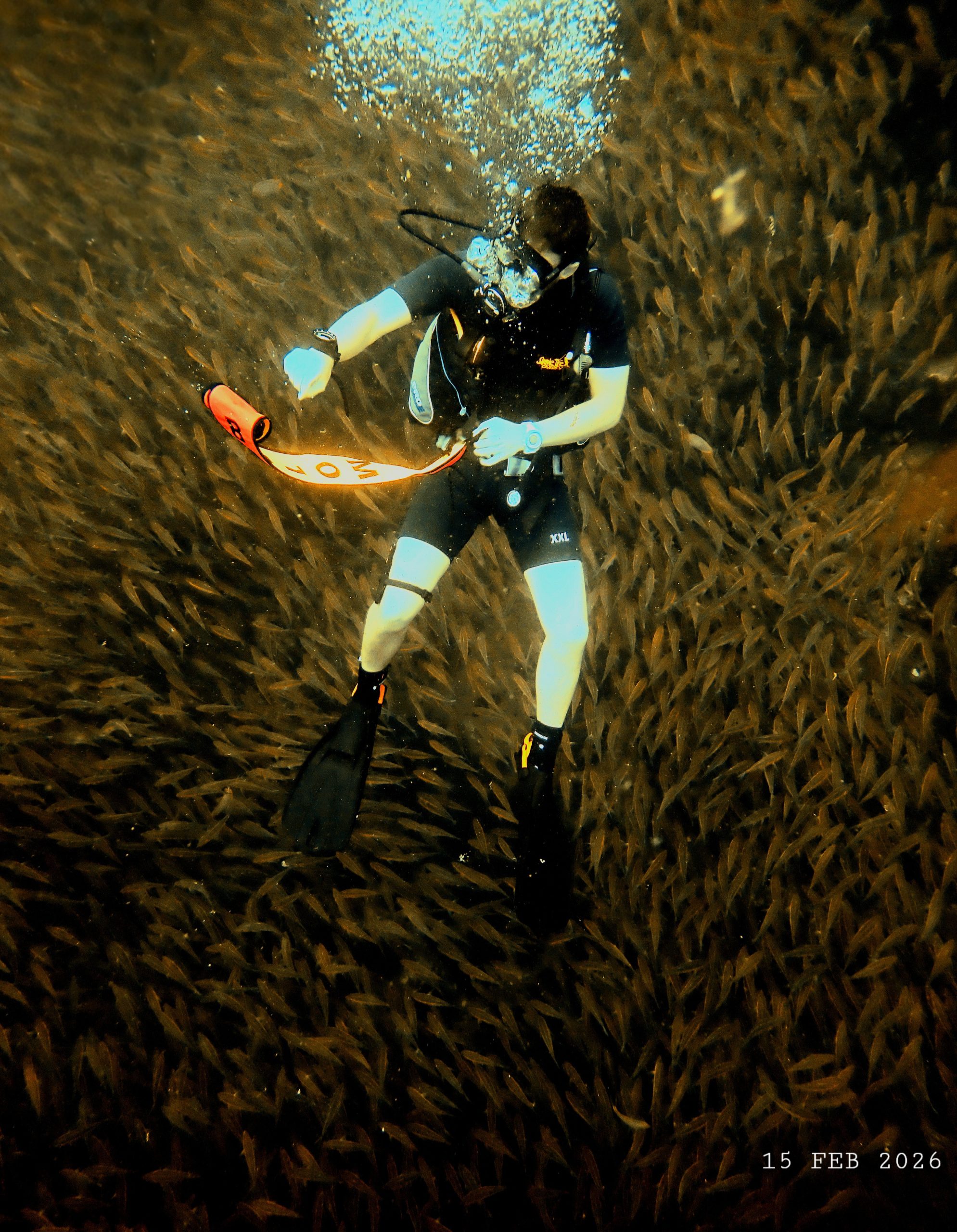 1771111860237 275620068(1) – Simple Life Divers Koh Tao