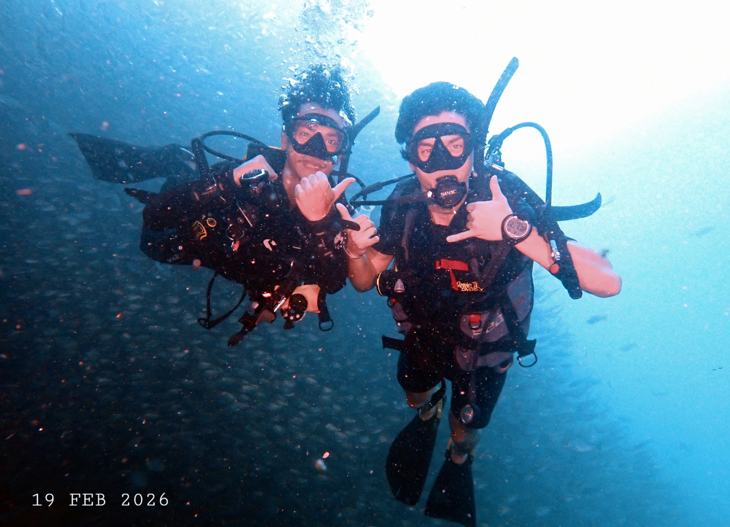 1771473748747671793631(1) – Simple Life Divers Koh Tao
