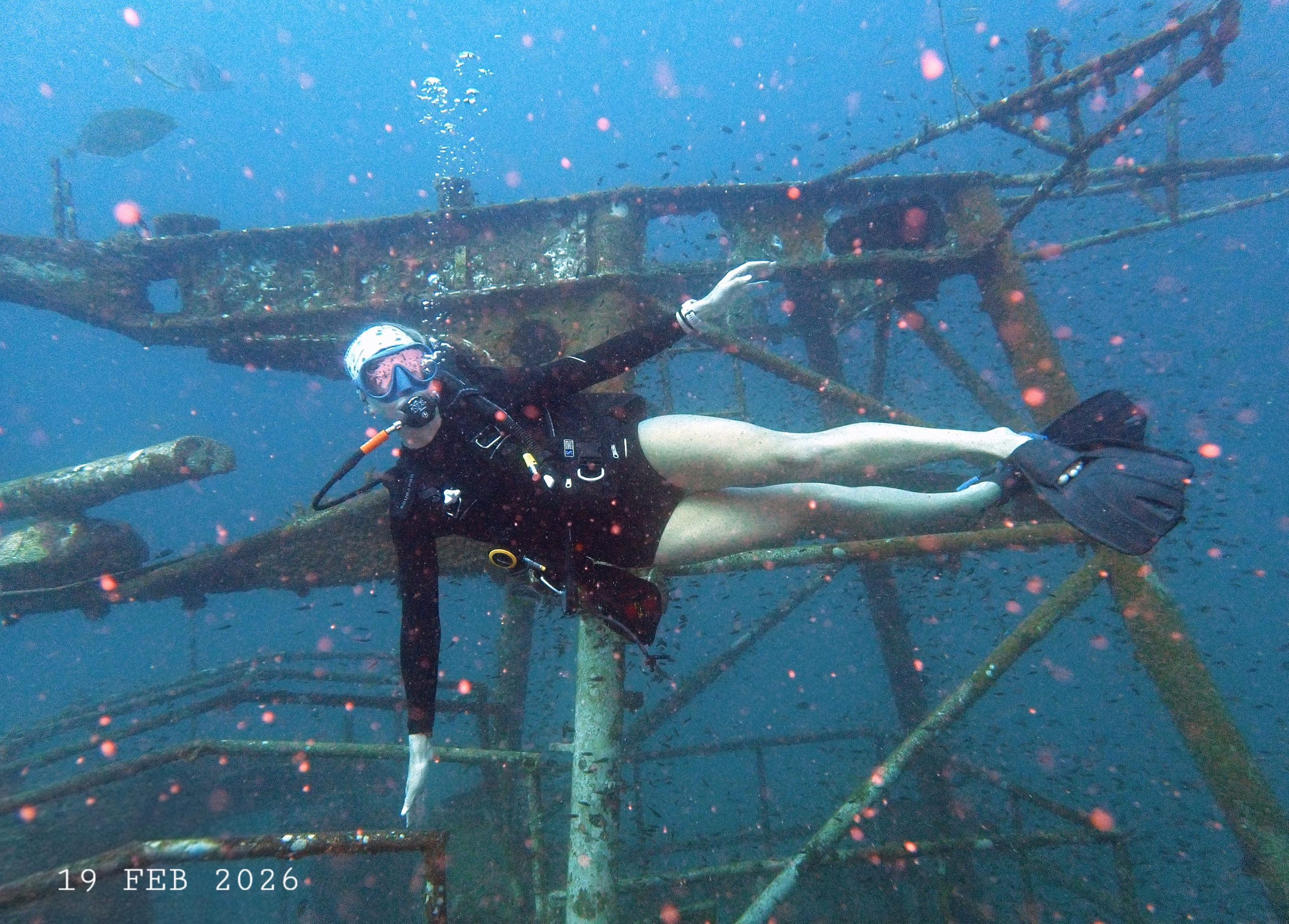 1771563146318307273873(1) – Simple Life Divers Koh Tao Thailand