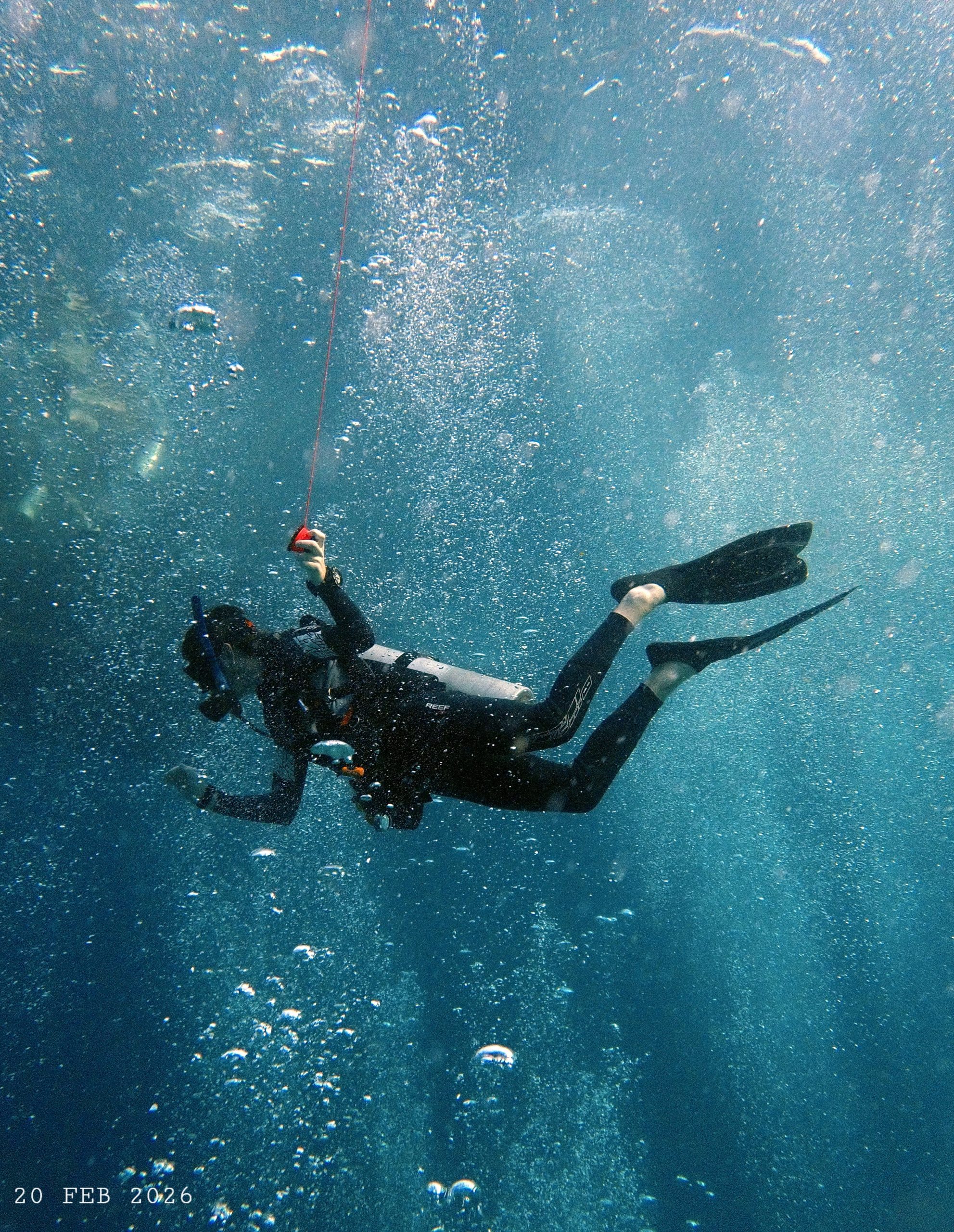 17717280297792031814425(1) – Simple Life Divers Koh Tao Thailand