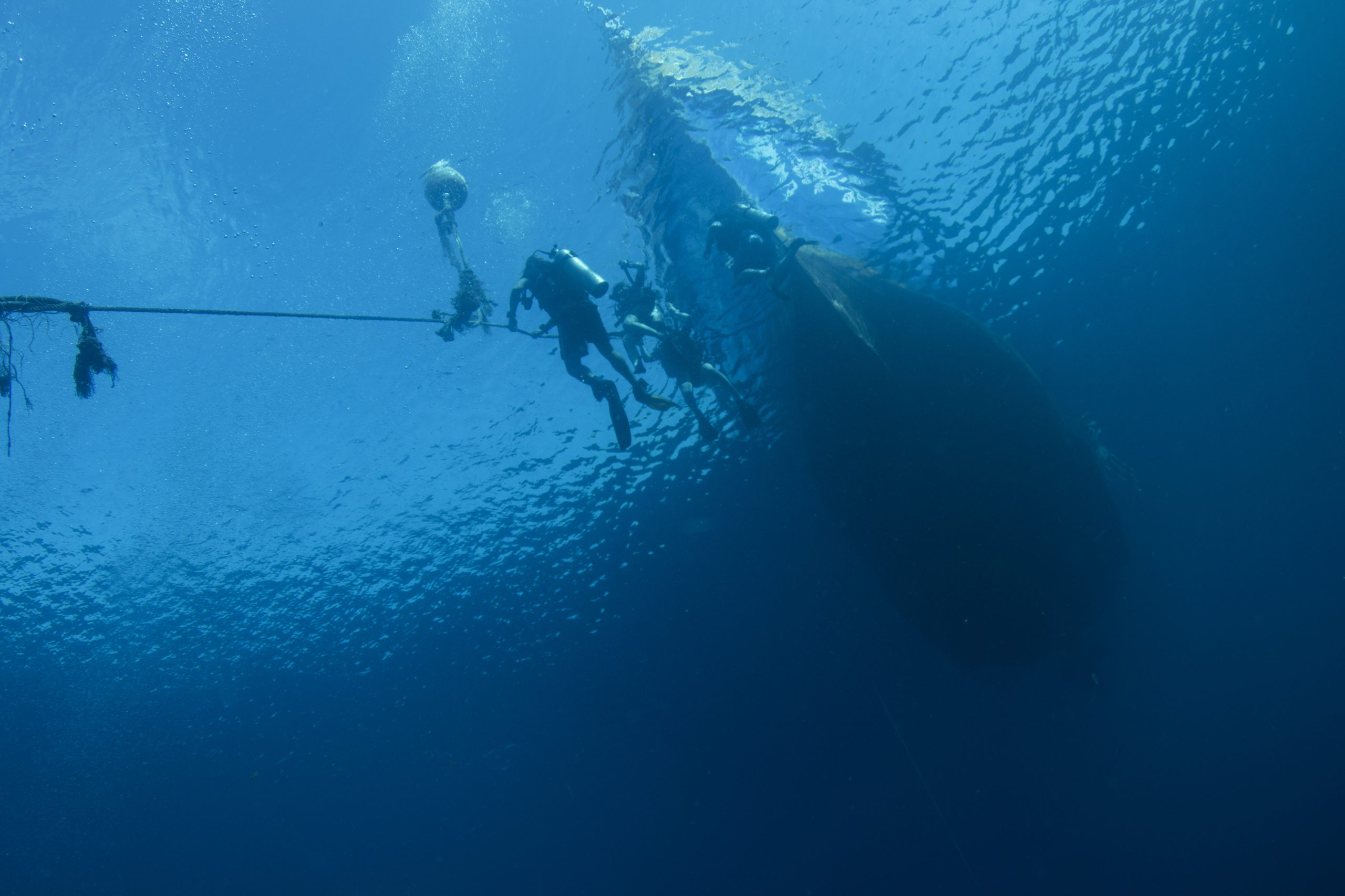 Sample ALT text for image