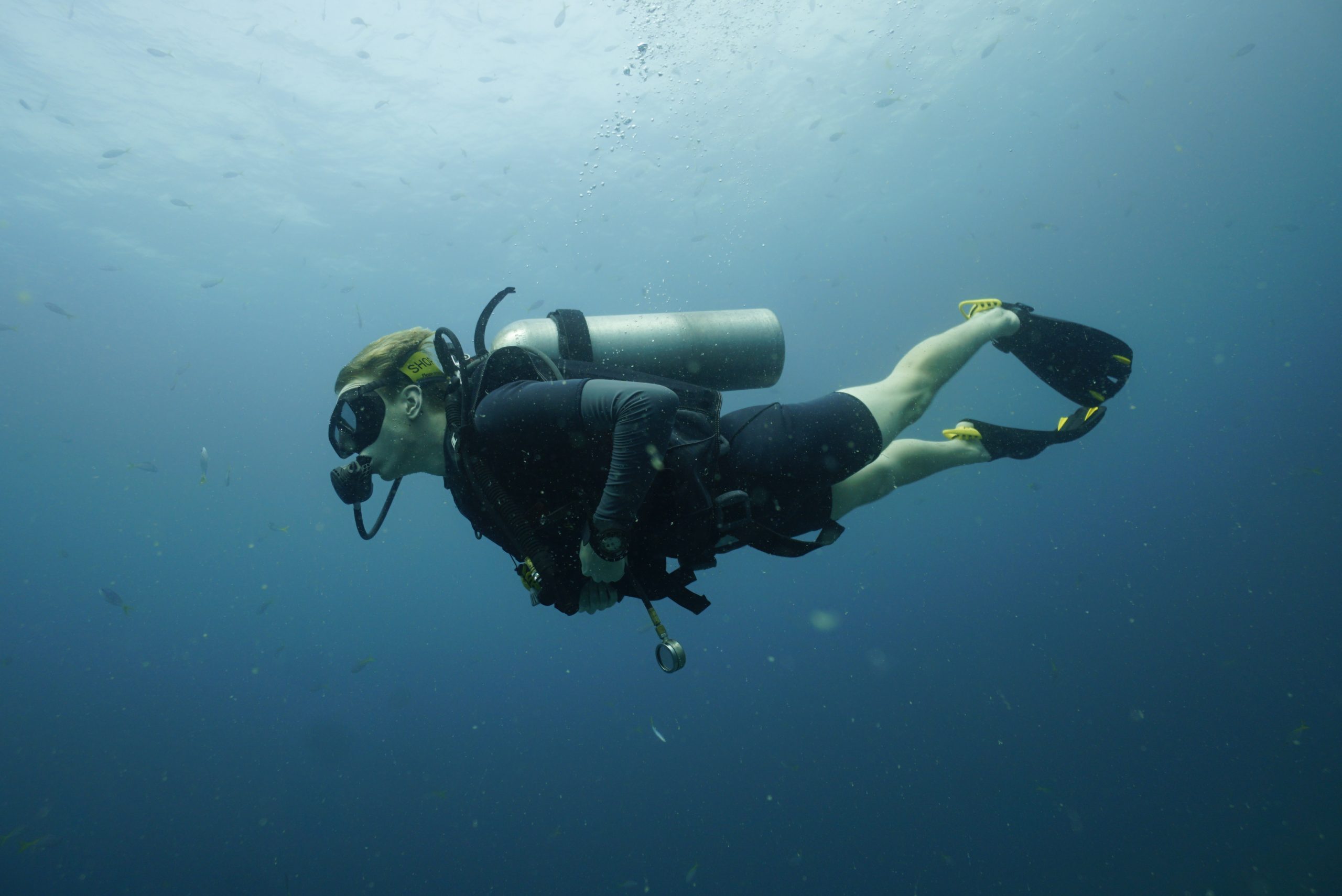 _DSC8775 – Simple Life Divers Koh Tao Thailand