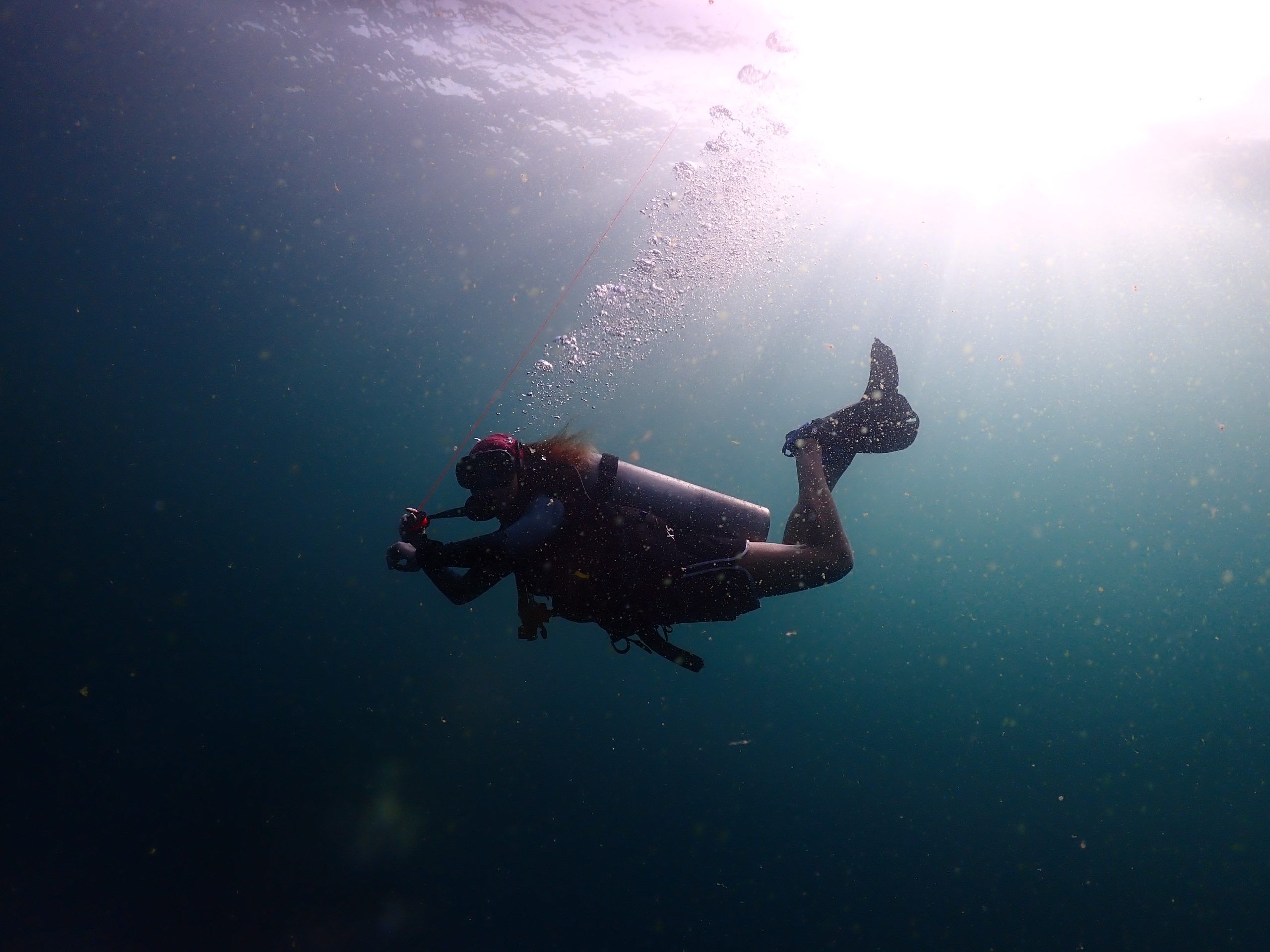 P1170216 – Simple Life Divers Koh Tao