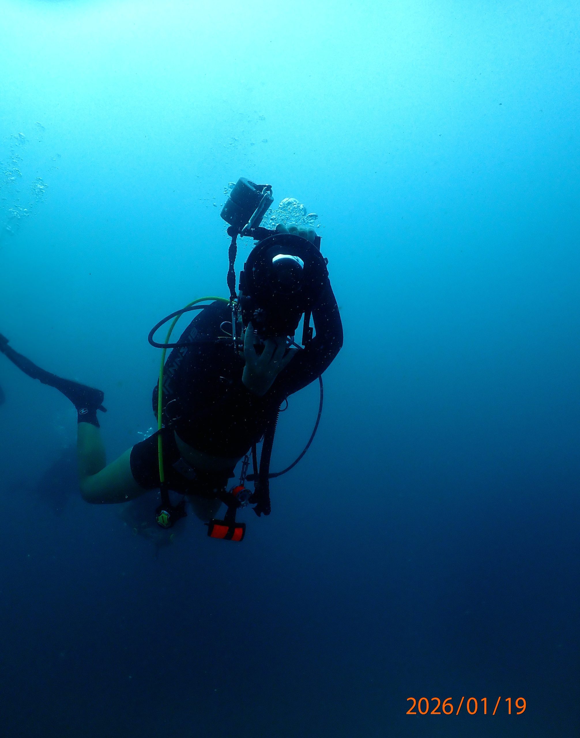 P1190348(1) – Simple Life Divers Koh Tao