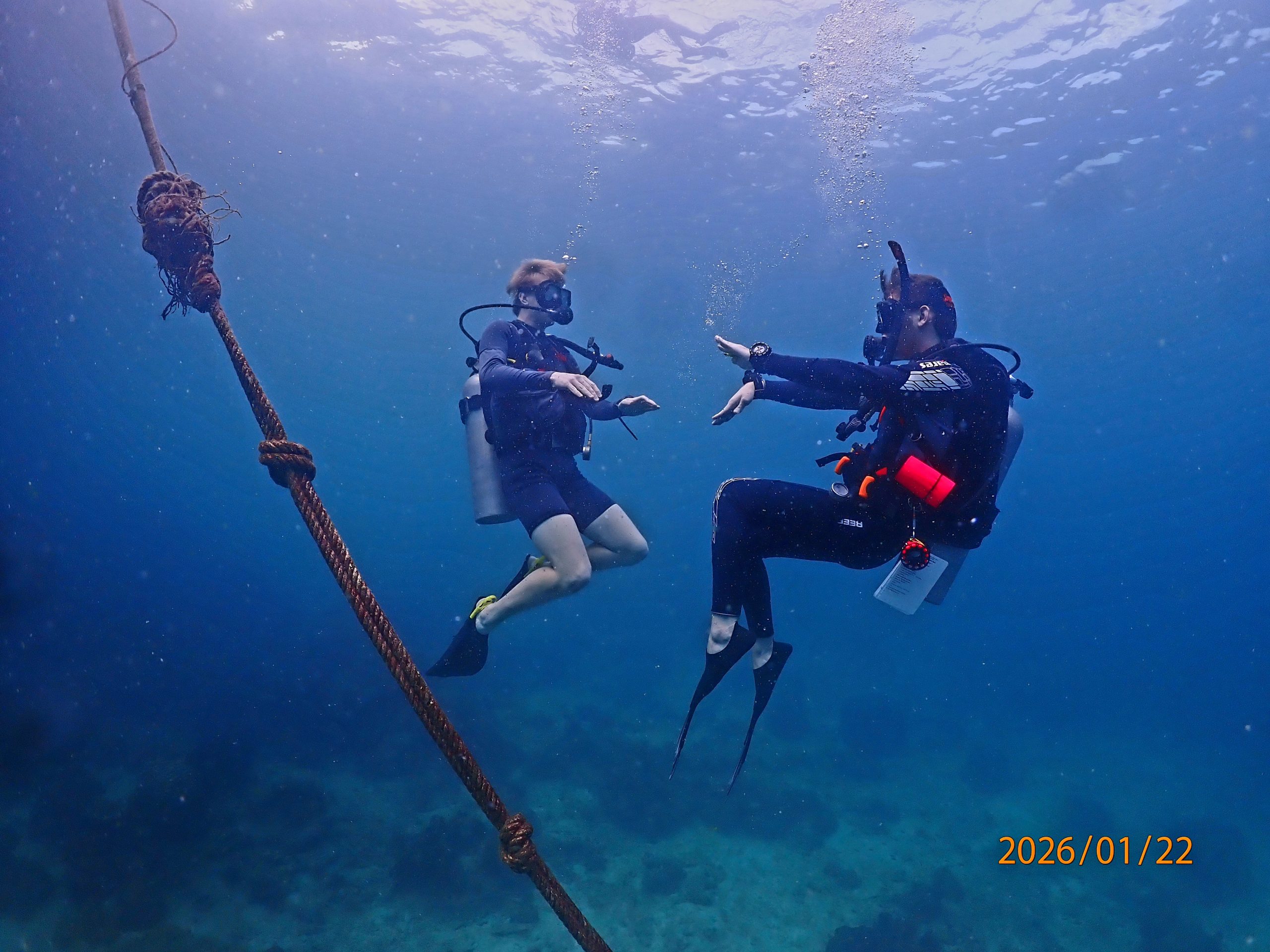 P1220379 – Simple Life Divers Koh Tao