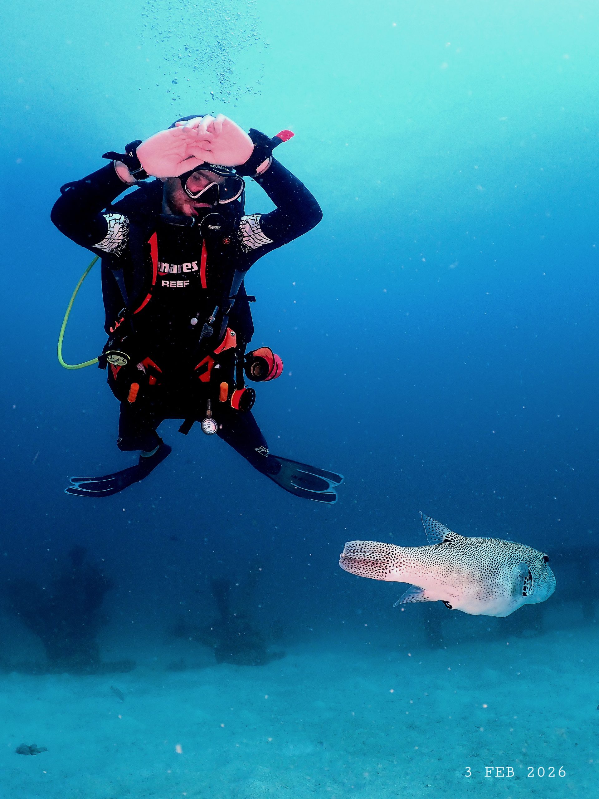 P2031147 – Simple Life Divers Koh Tao