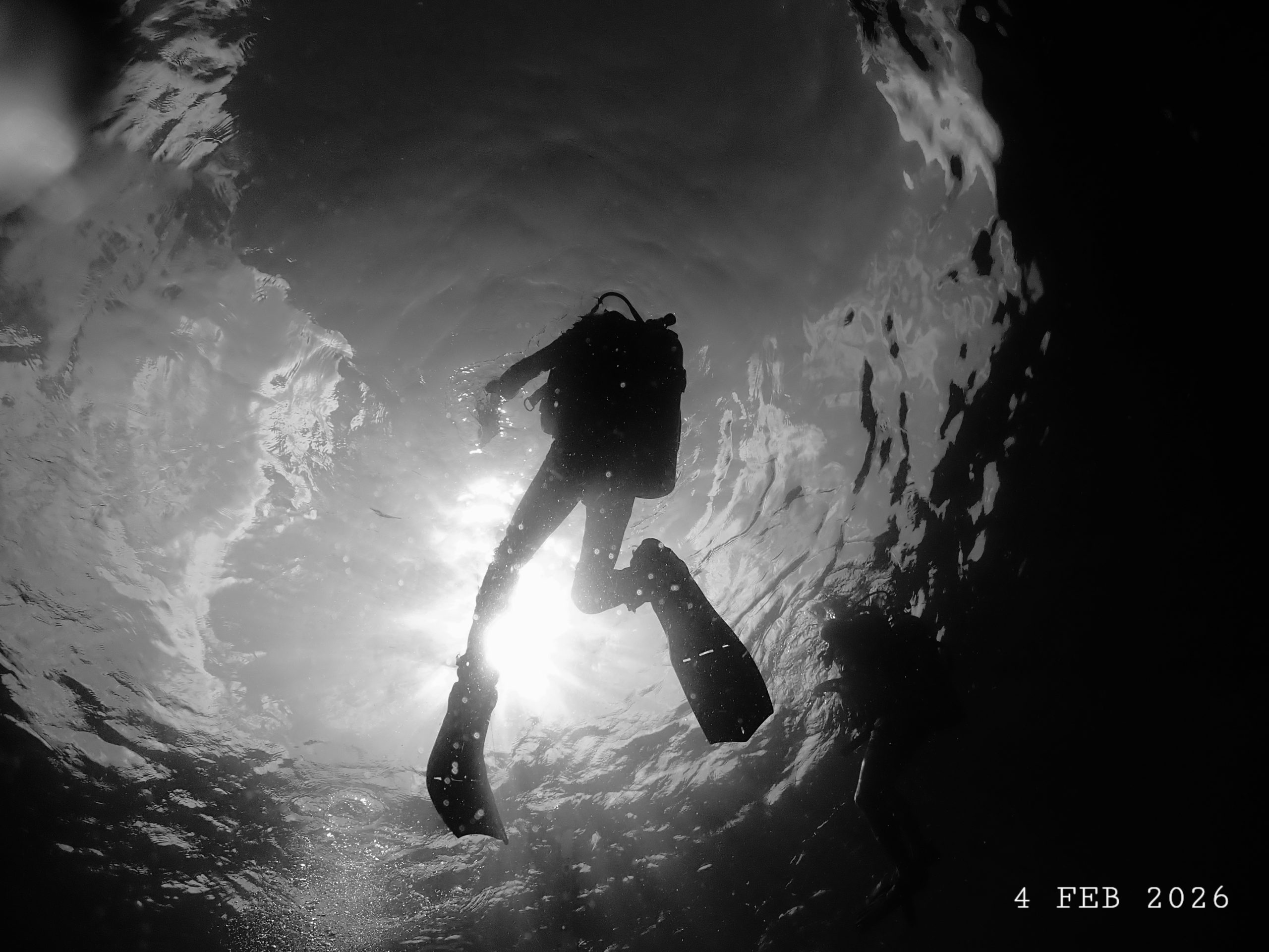 P2041254(1) – Simple Life Divers Koh Tao
