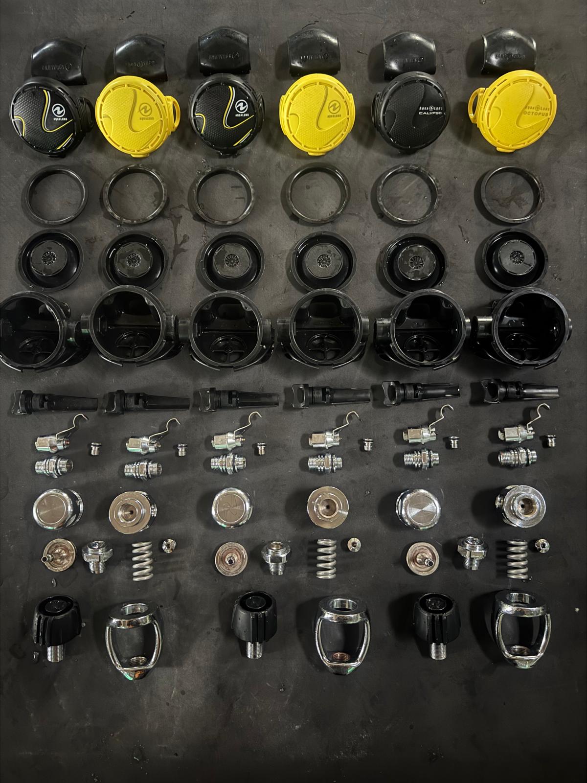 Regulator Servicing