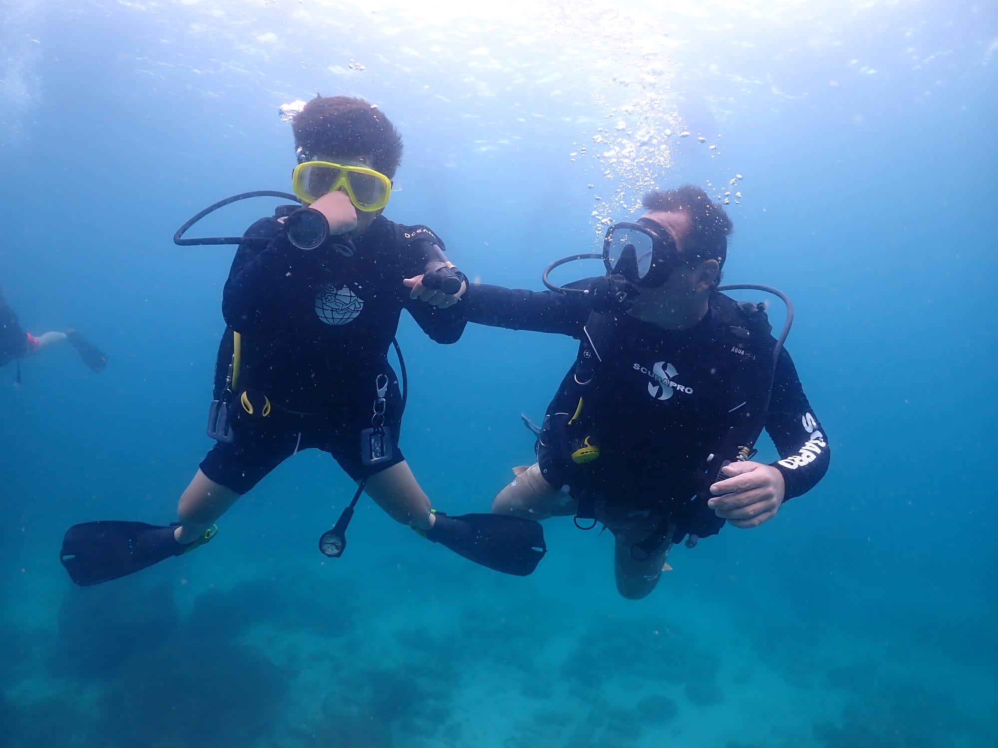 Father and son diving together
