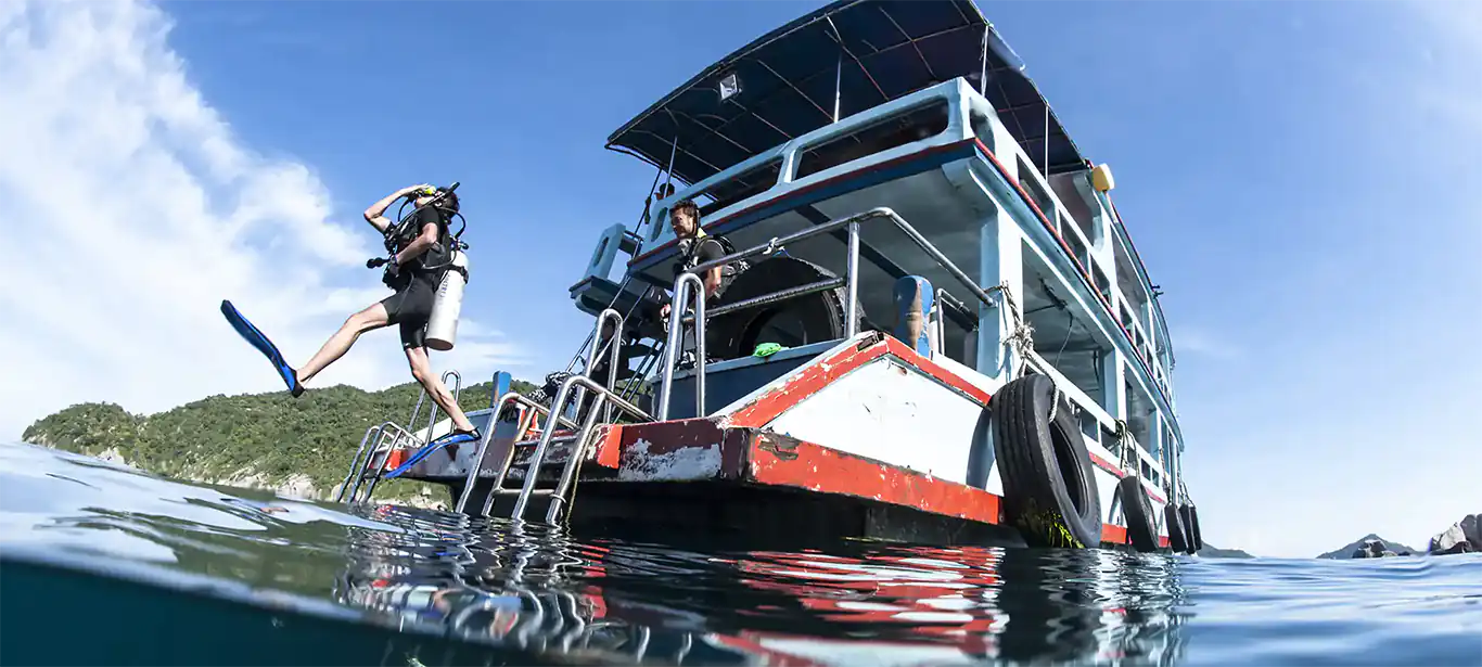 Simple Life Divers — Koh Tao PADI 5* Dive Resort
