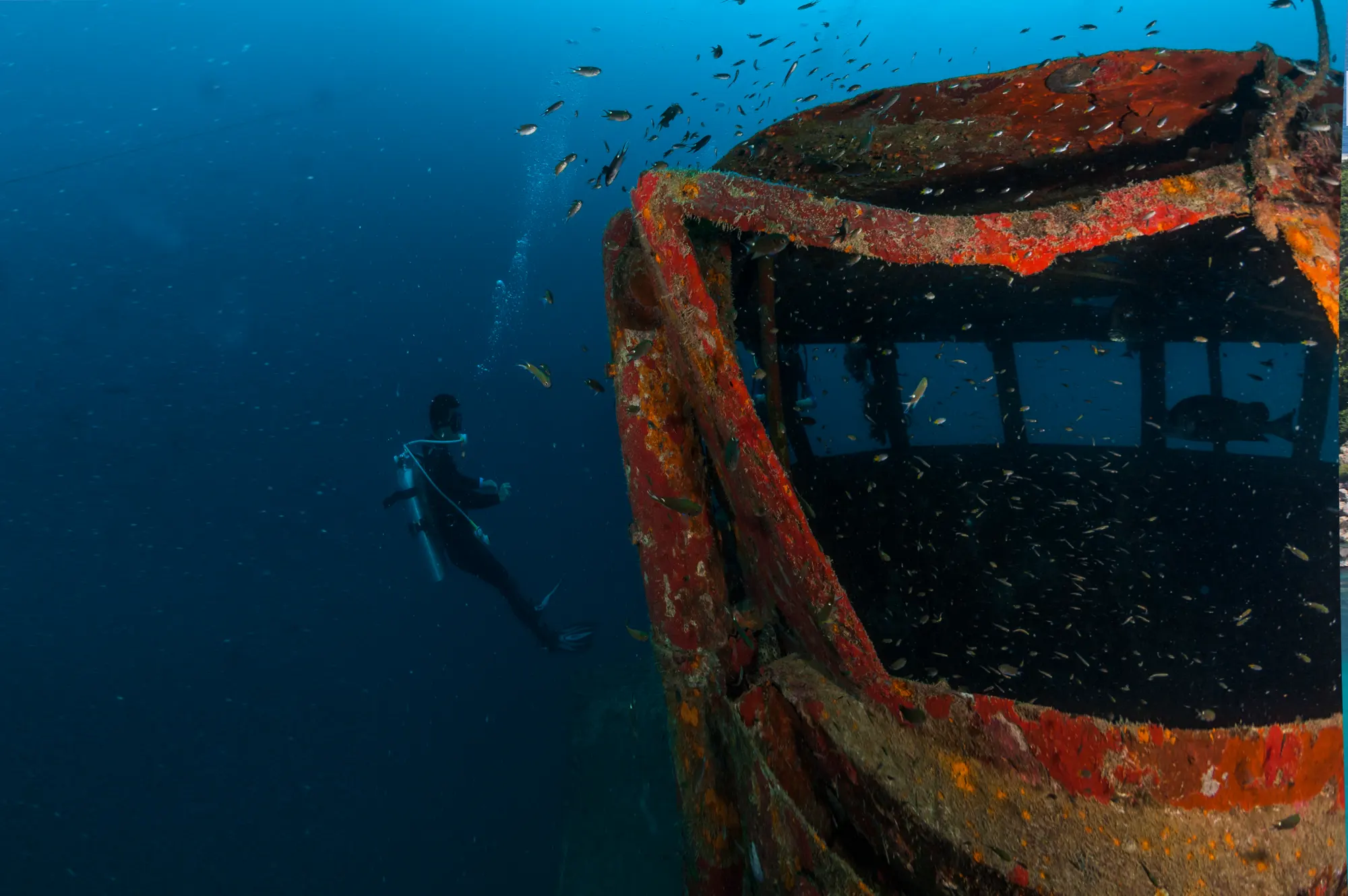 ผู้ฝึกงาน Explorer กำลังดำน้ำที่เรือจม HTMS Sattakut เกาะเต่า