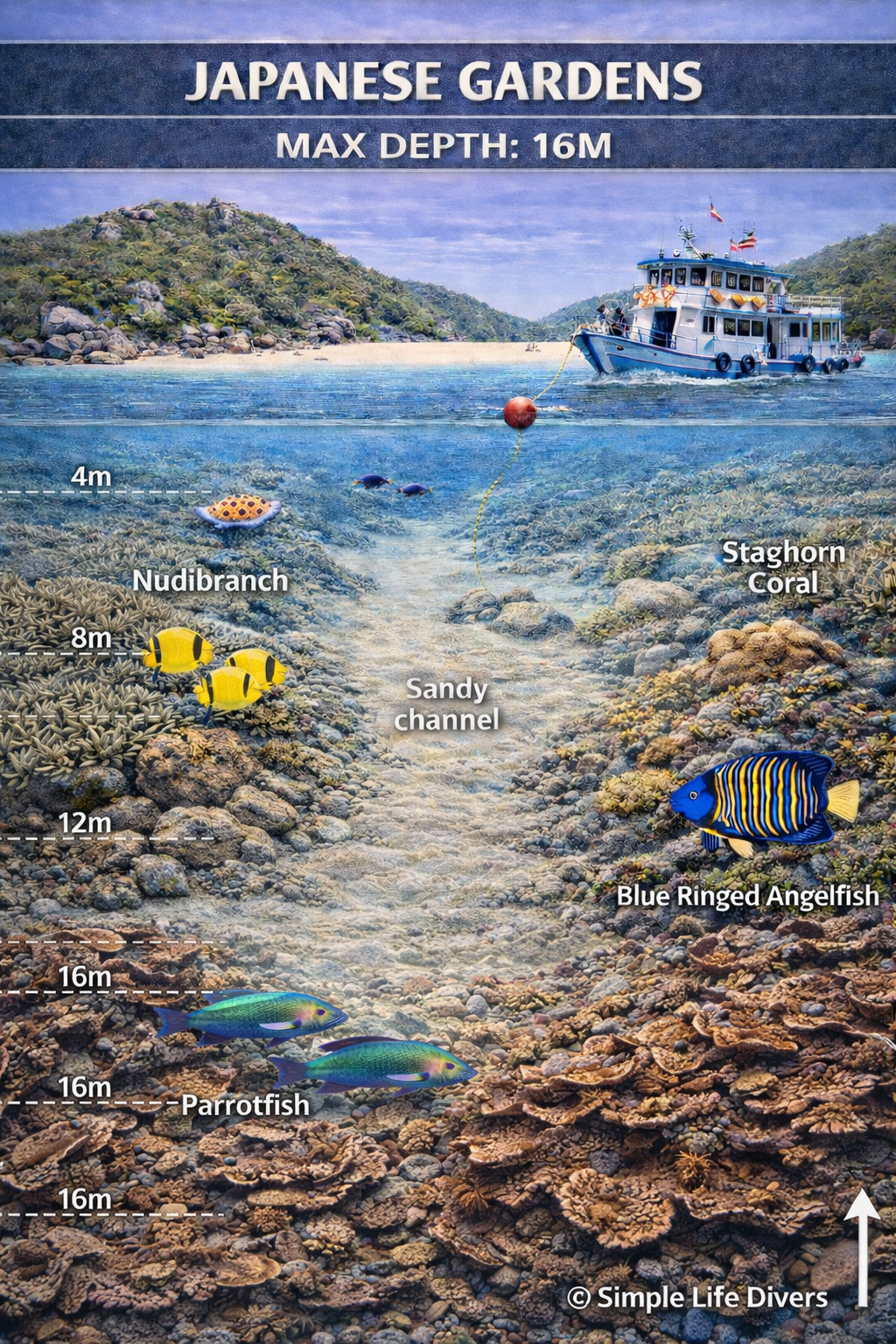 Japanese Gardens dive site in Koh Tao Thailand