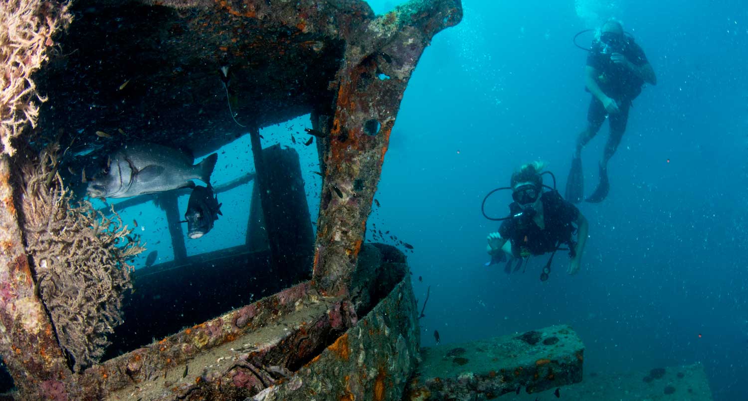 Sample ALT text for image