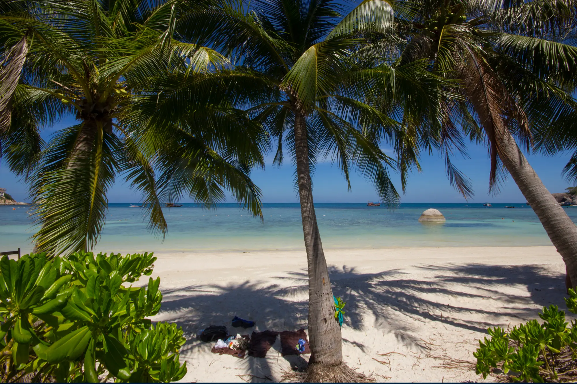 ชายหาดและต้นมะพร้าวบรรยากาศเขตร้อนบนเกาะเต่า ประเทศไทย