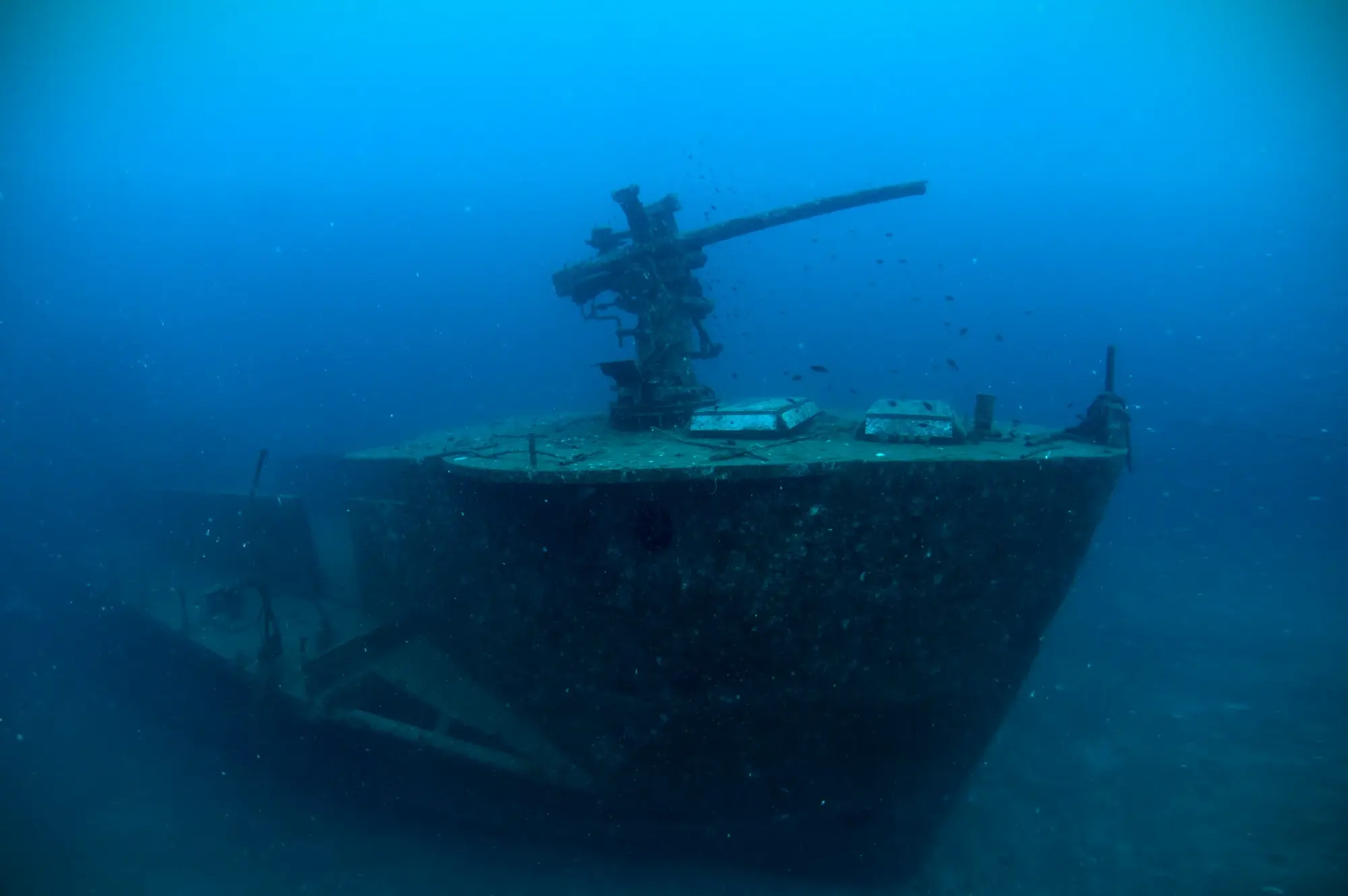การดำน้ำสำรวจเรือจม HTMS Sattakut ใกล้เกาะเต่า