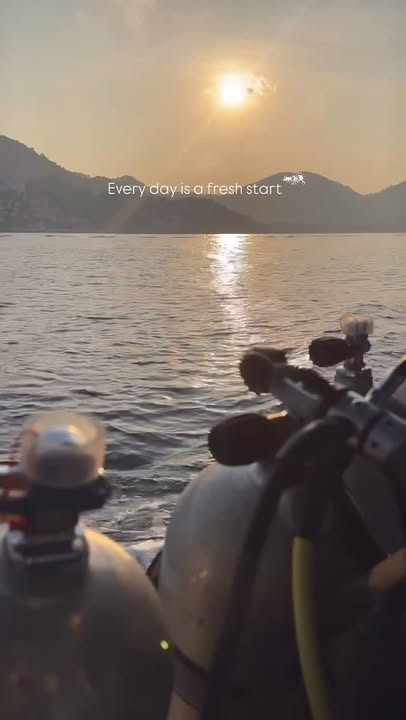 Morning Diving – Simple Life Divers Koh Tao Thailand