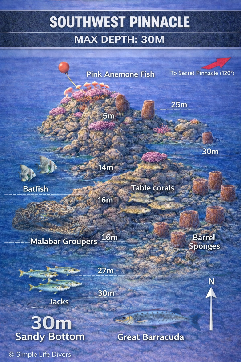 Sothwest Pinnacle dive site near Koh Tao