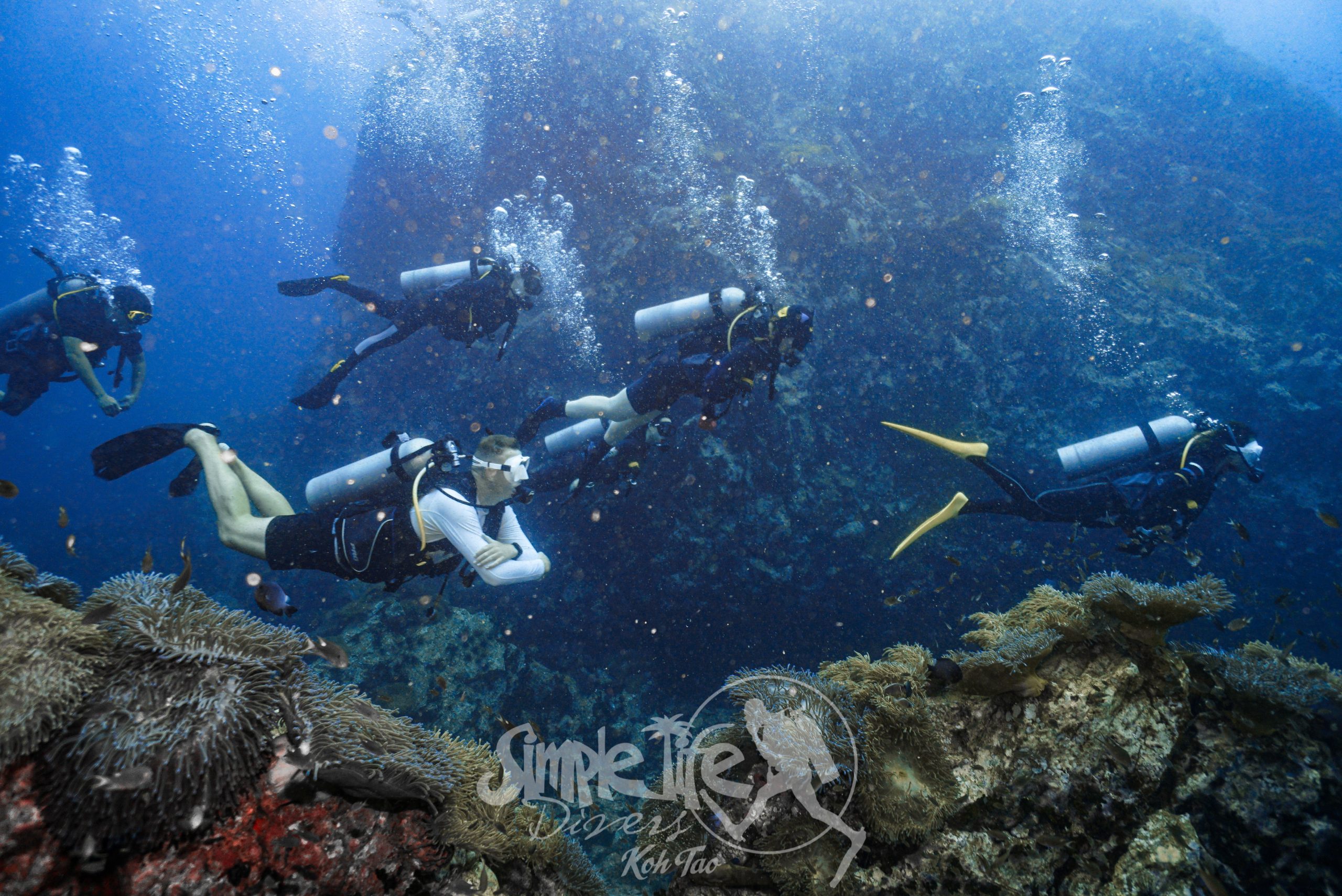 圖片_20260419204655 – Simple Life Divers Koh Tao Thailand