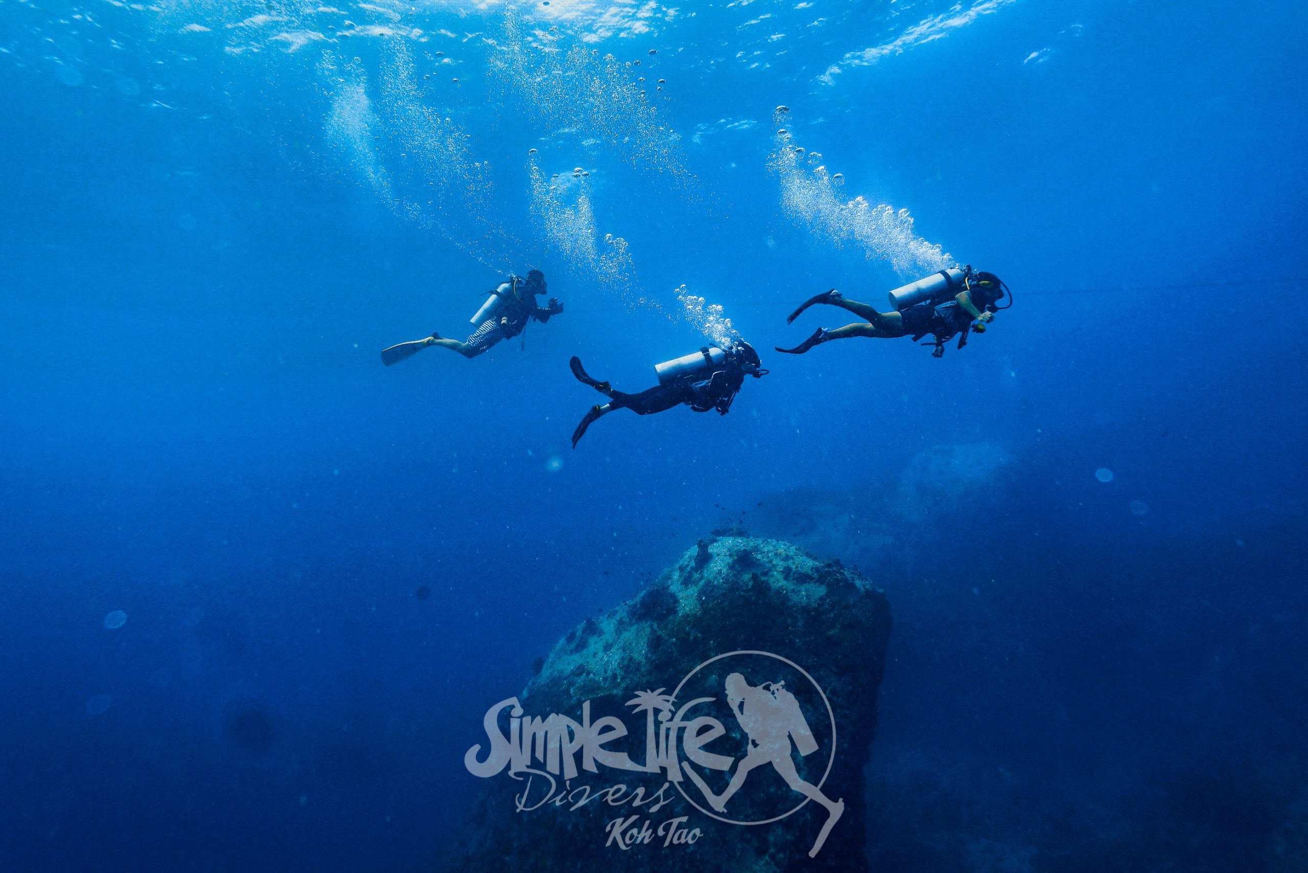 圖片_20260419204711 – Simple Life Divers Koh Tao Thailand