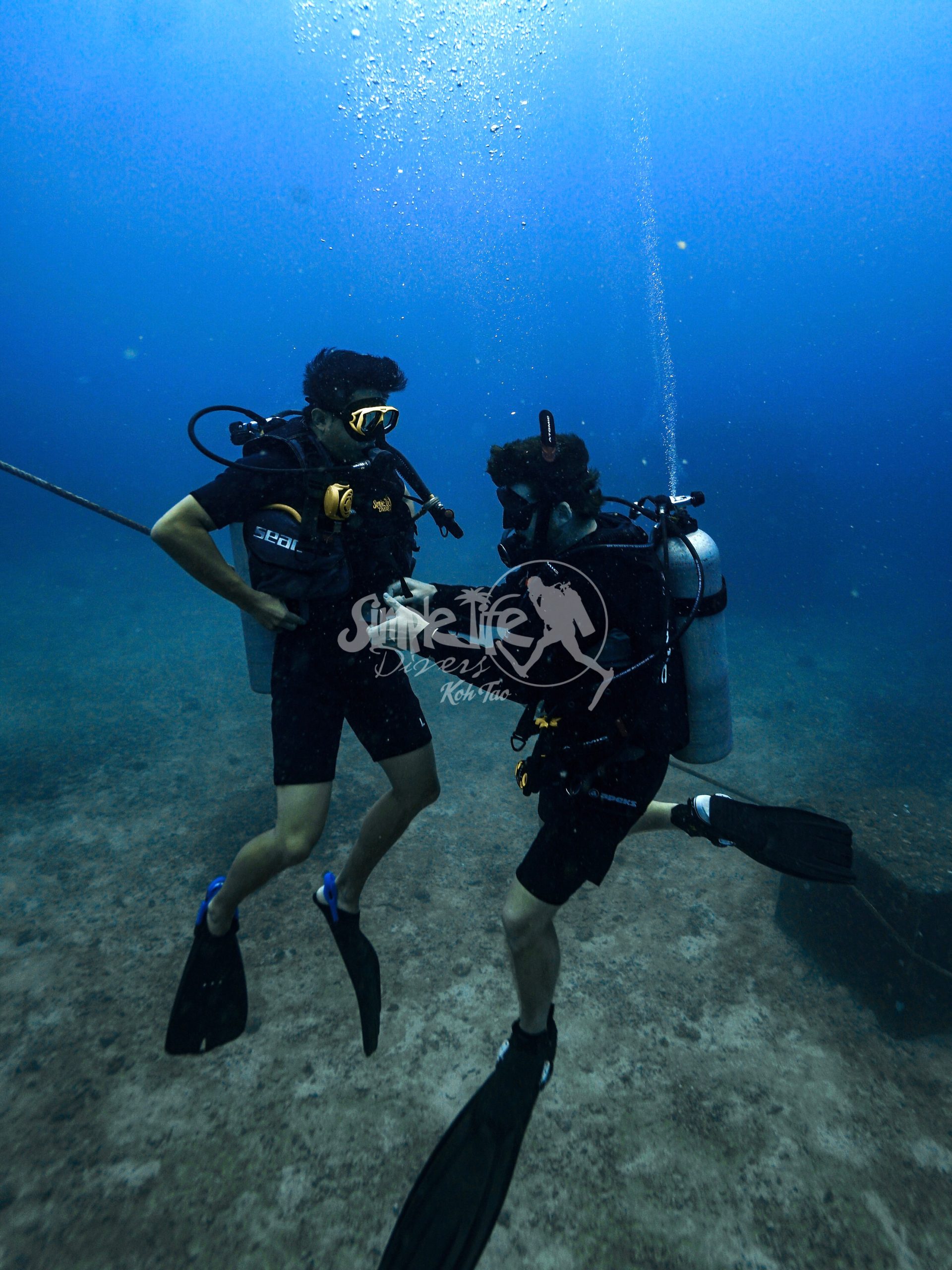圖片_20260419204735 – Simple Life Divers Koh Tao Thailand
