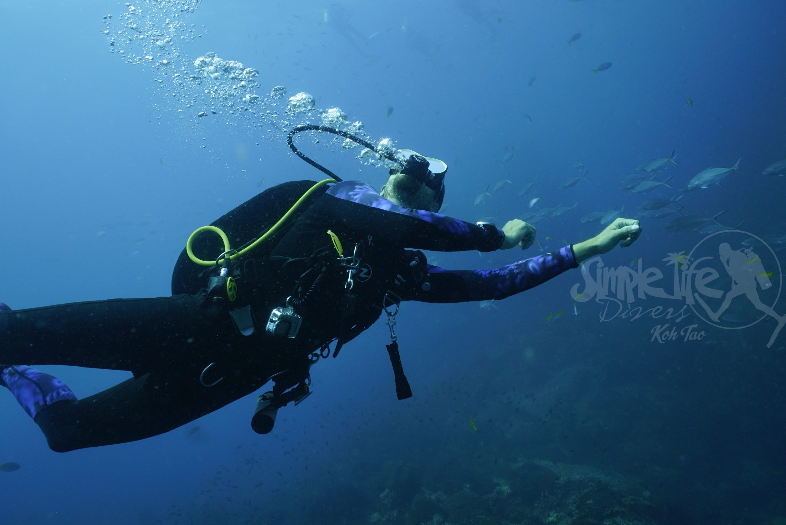圖片_20260420151251 – Simple Life Divers Koh Tao Thailand
