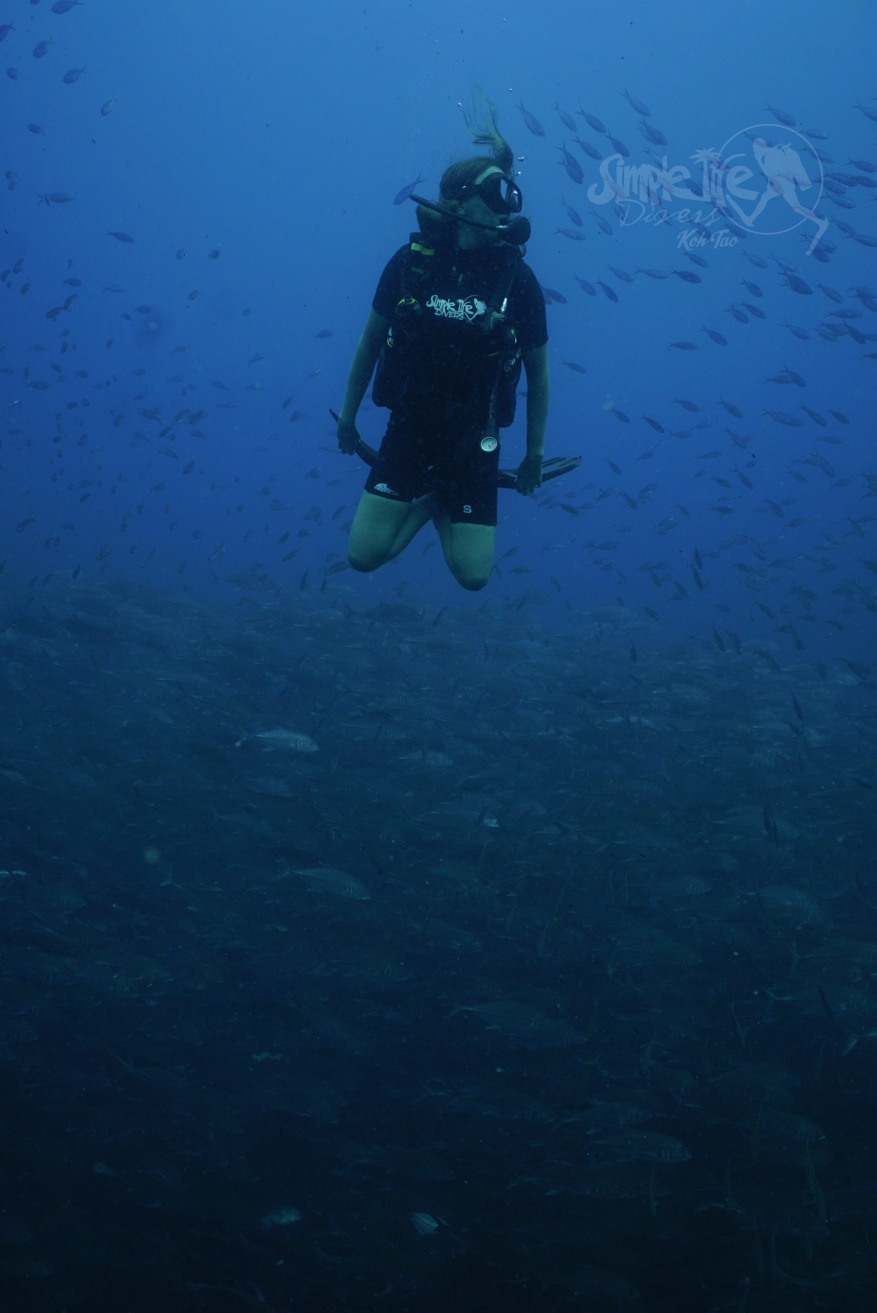 圖片_20260420151403 – Simple Life Divers Koh Tao Thailand
