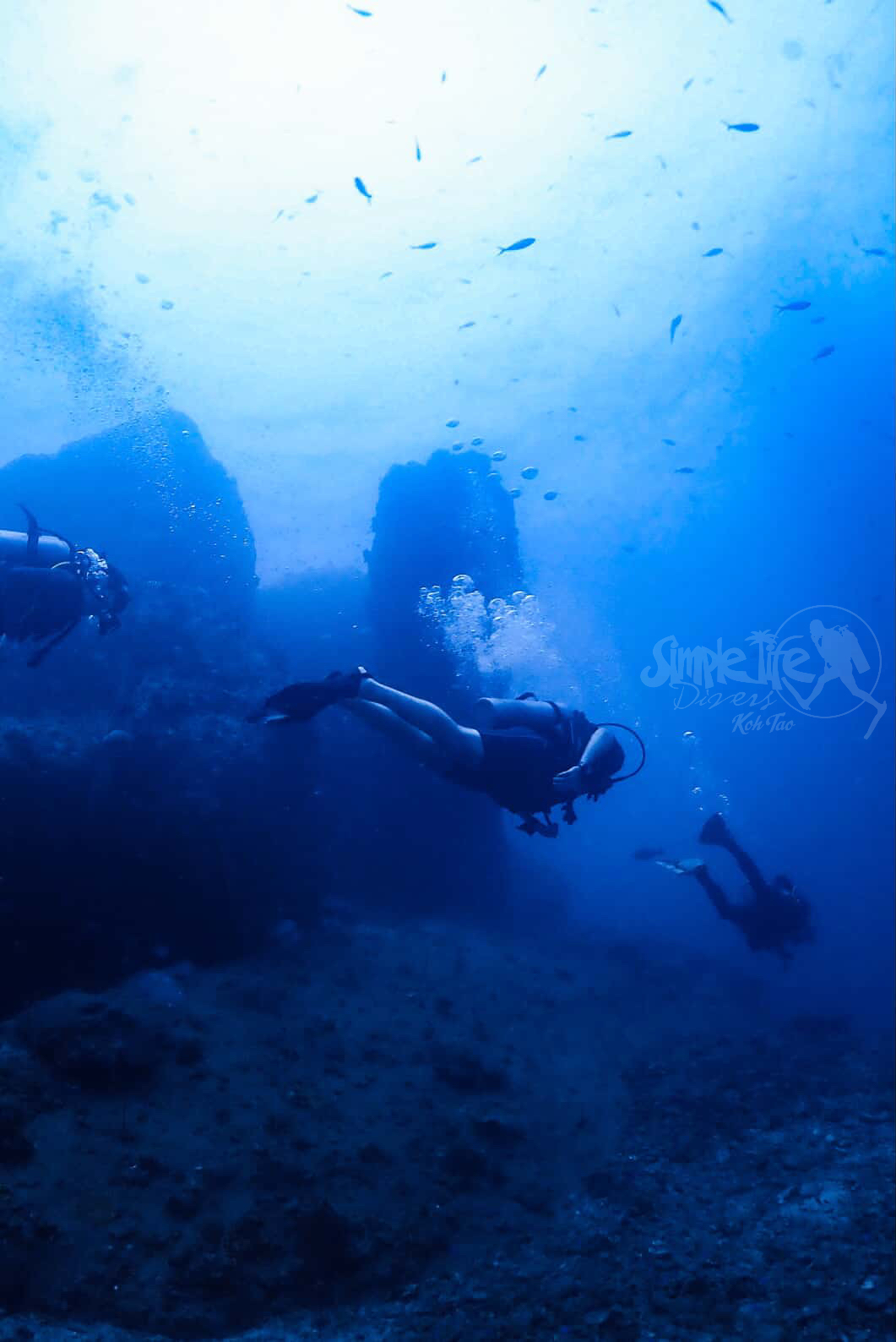 圖片_20260420151537 – Simple Life Divers Koh Tao Thailand