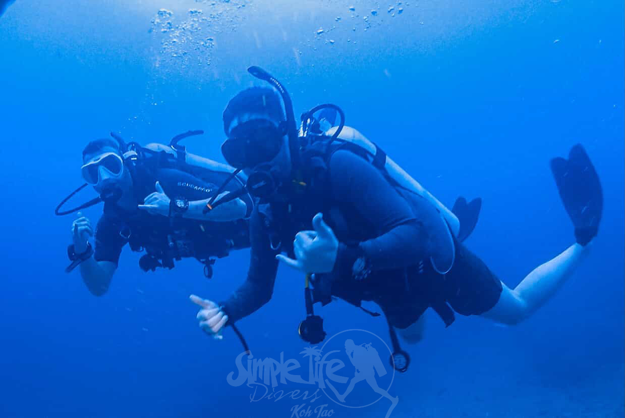 圖片_20260420151620 – Simple Life Divers Koh Tao Thailand