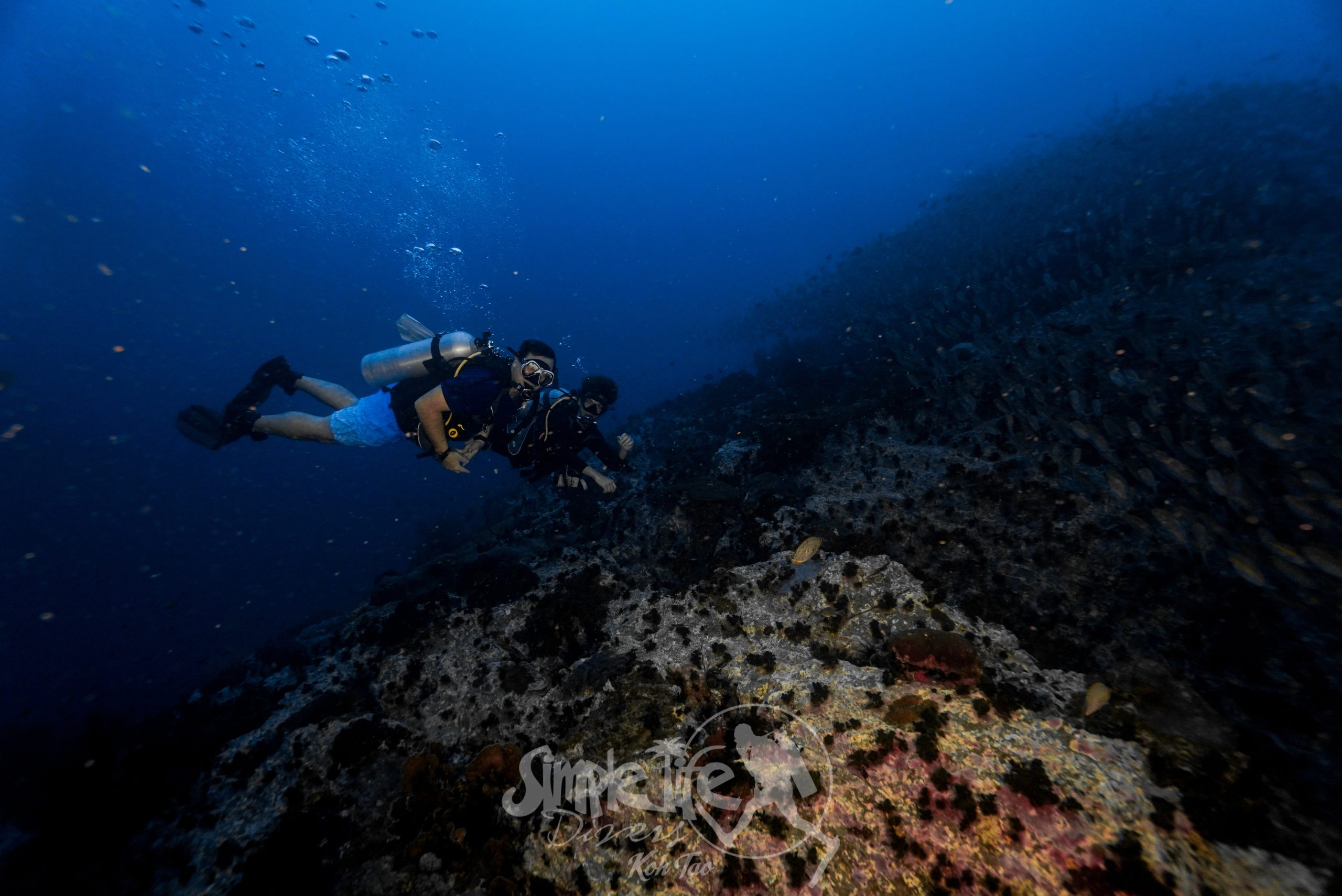 圖片_20260420182000 – Simple Life Divers Koh Tao Thailand
