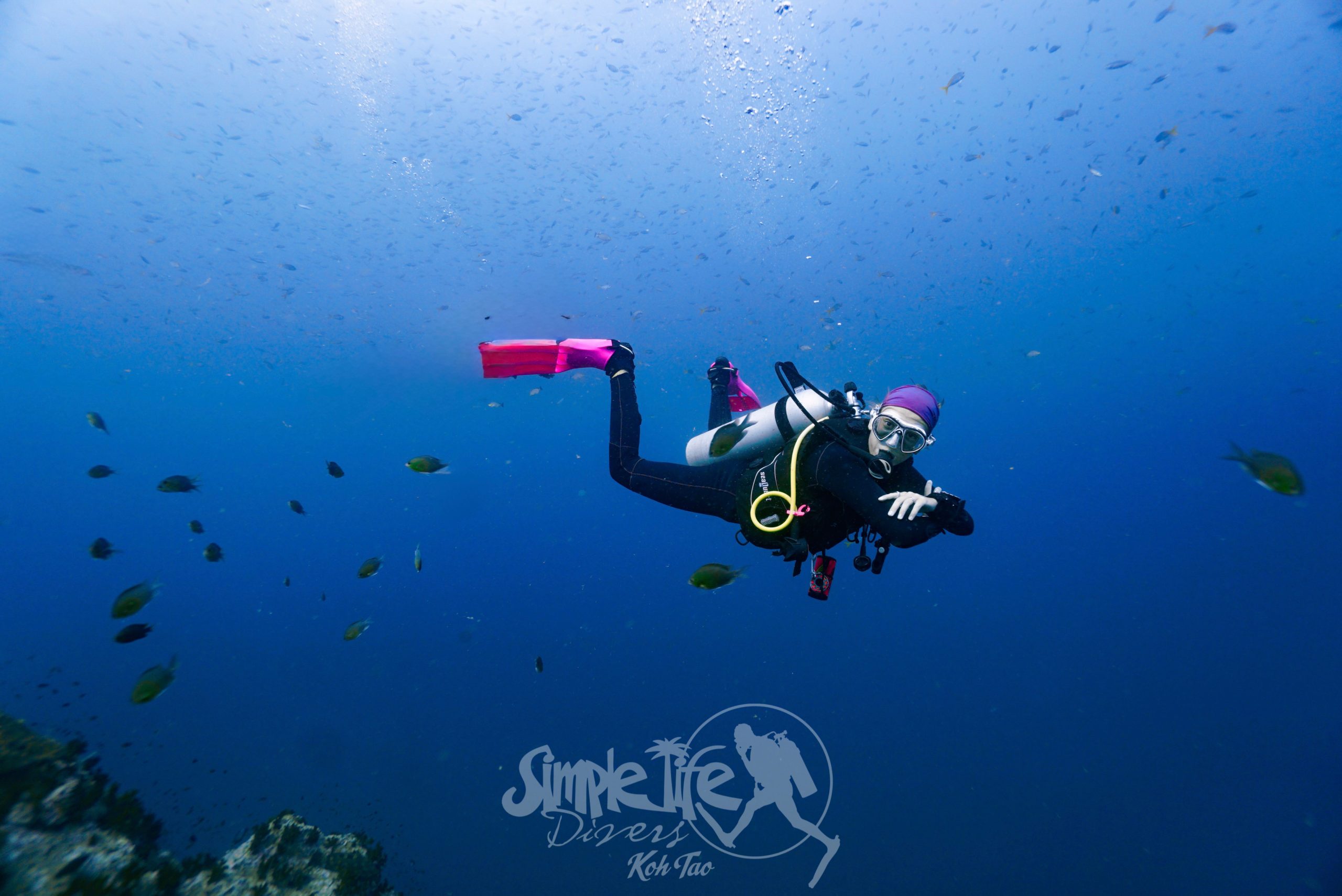 圖片_20260420182025 – Simple Life Divers Koh Tao Thailand