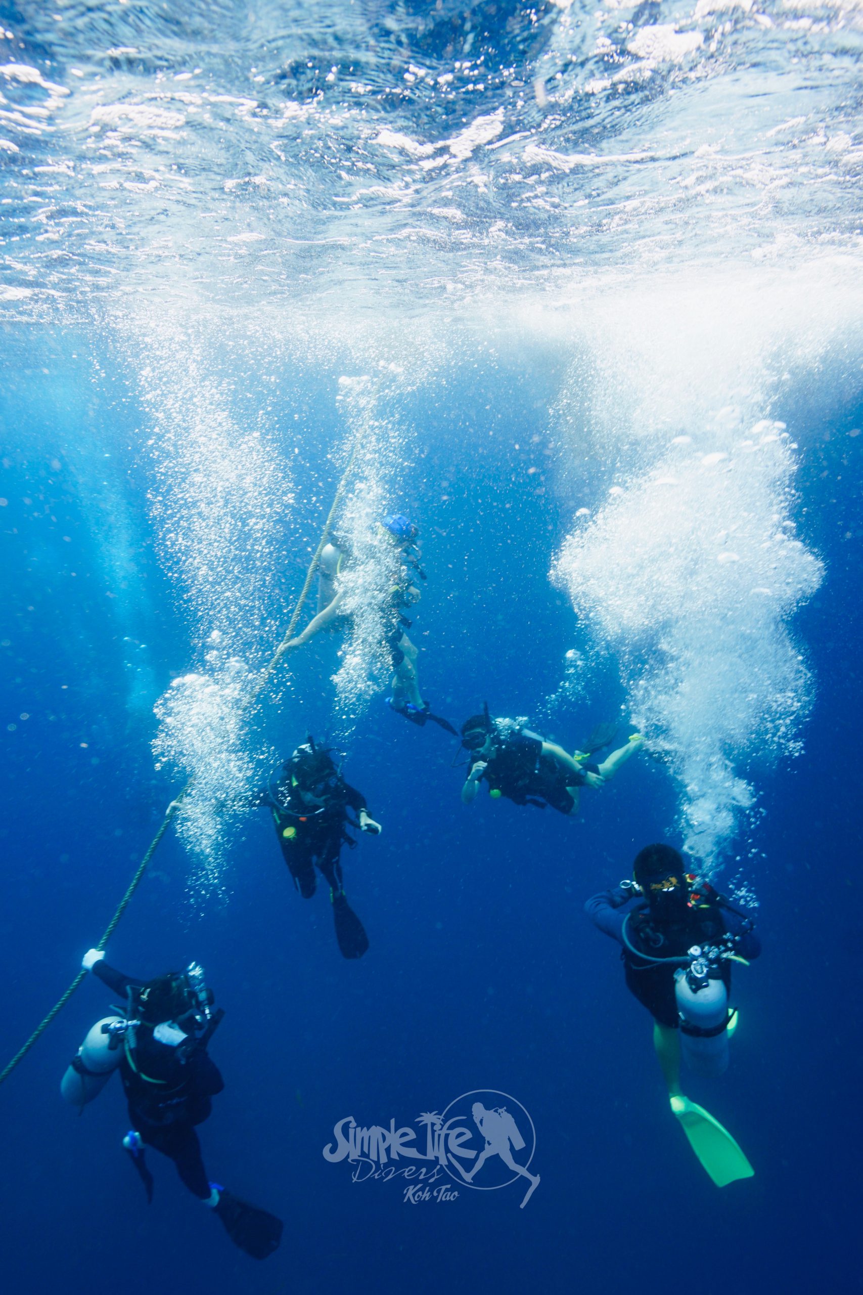 圖片_20260420182114 – Simple Life Divers Koh Tao Thailand