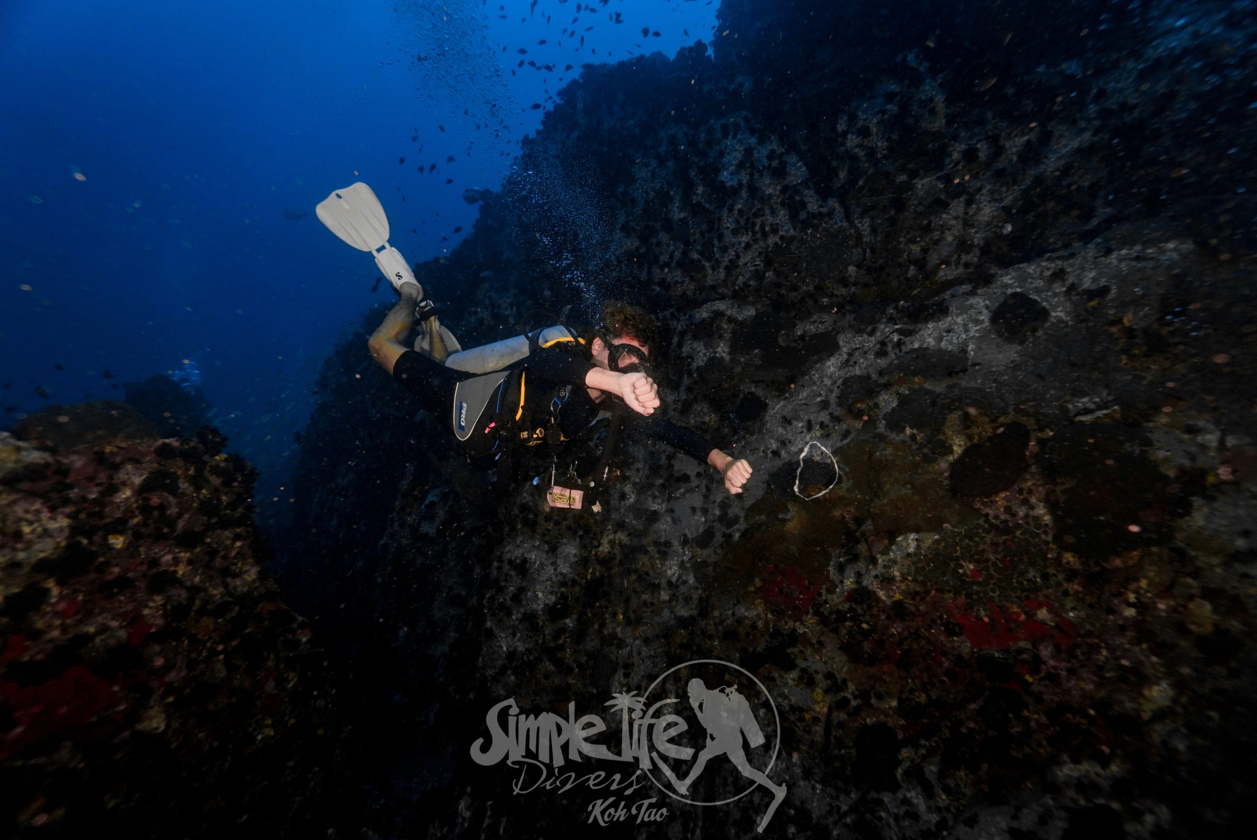 圖片_20260420182155 – Simple Life Divers Koh Tao Thailand