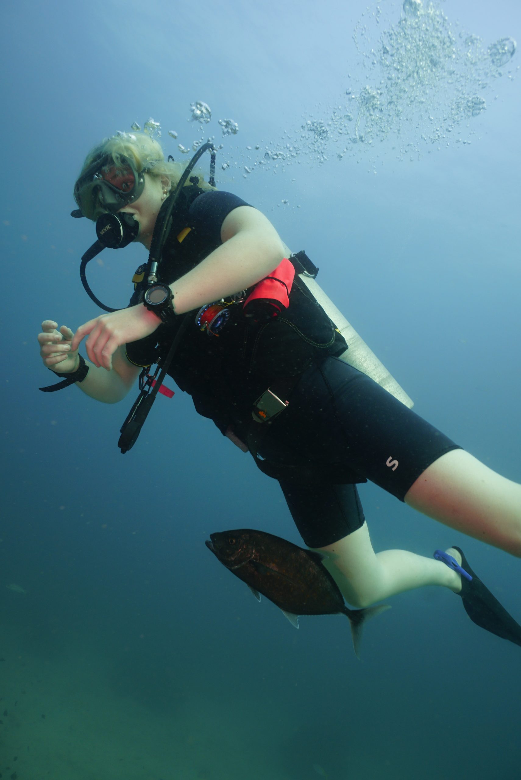 圖片_20260422223650 – Simple Life Divers Koh Tao Thailand