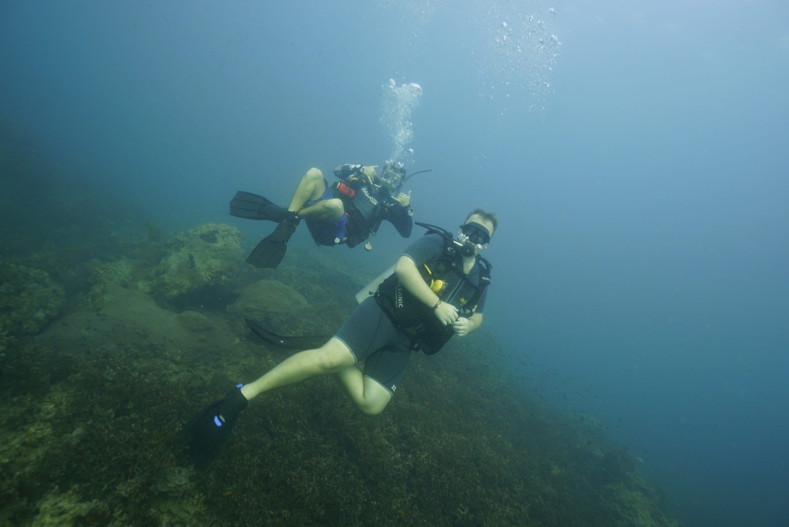 圖片_20260422223711 – Simple Life Divers Koh Tao Thailand