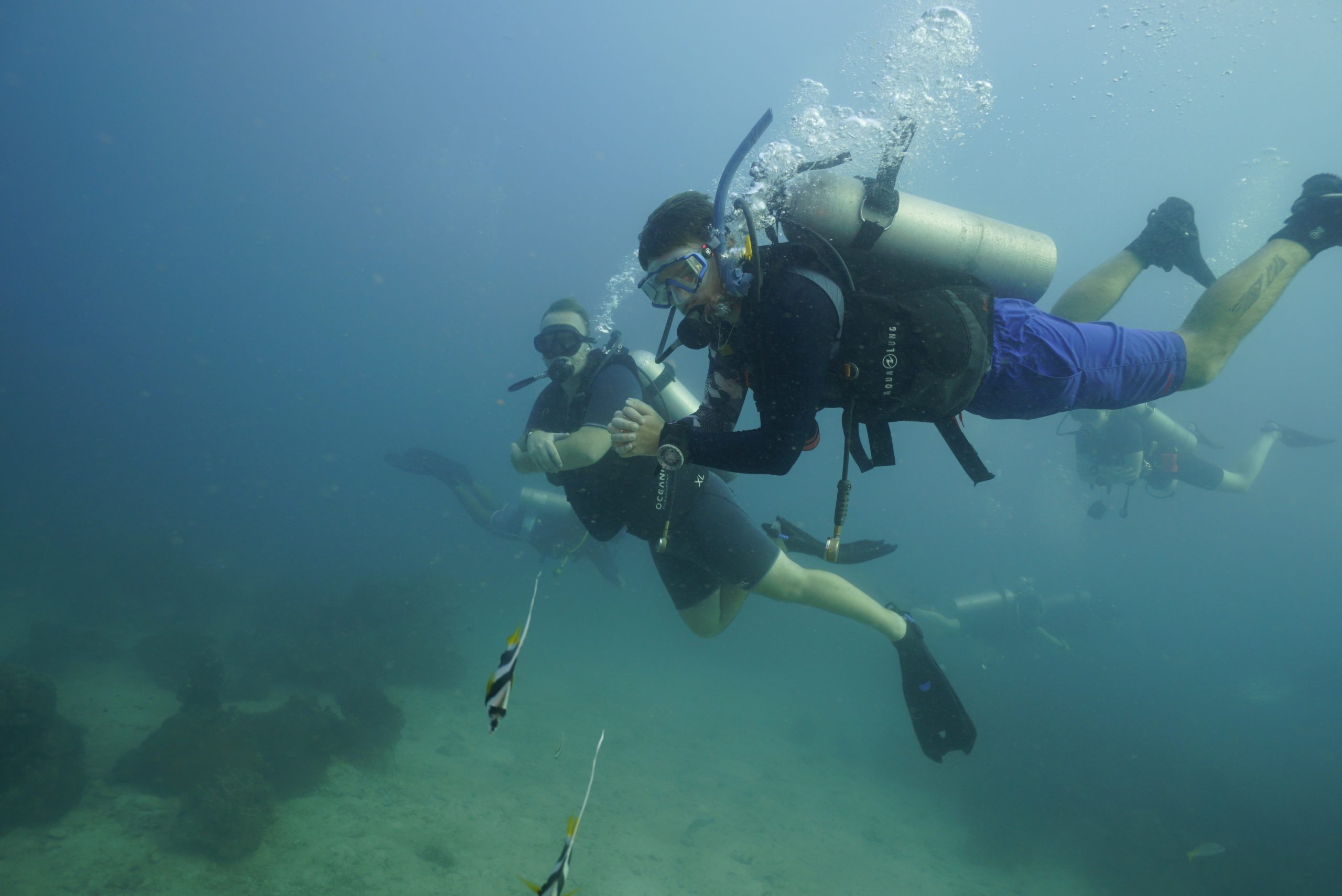 圖片_20260422223720 – Simple Life Divers Koh Tao Thailand