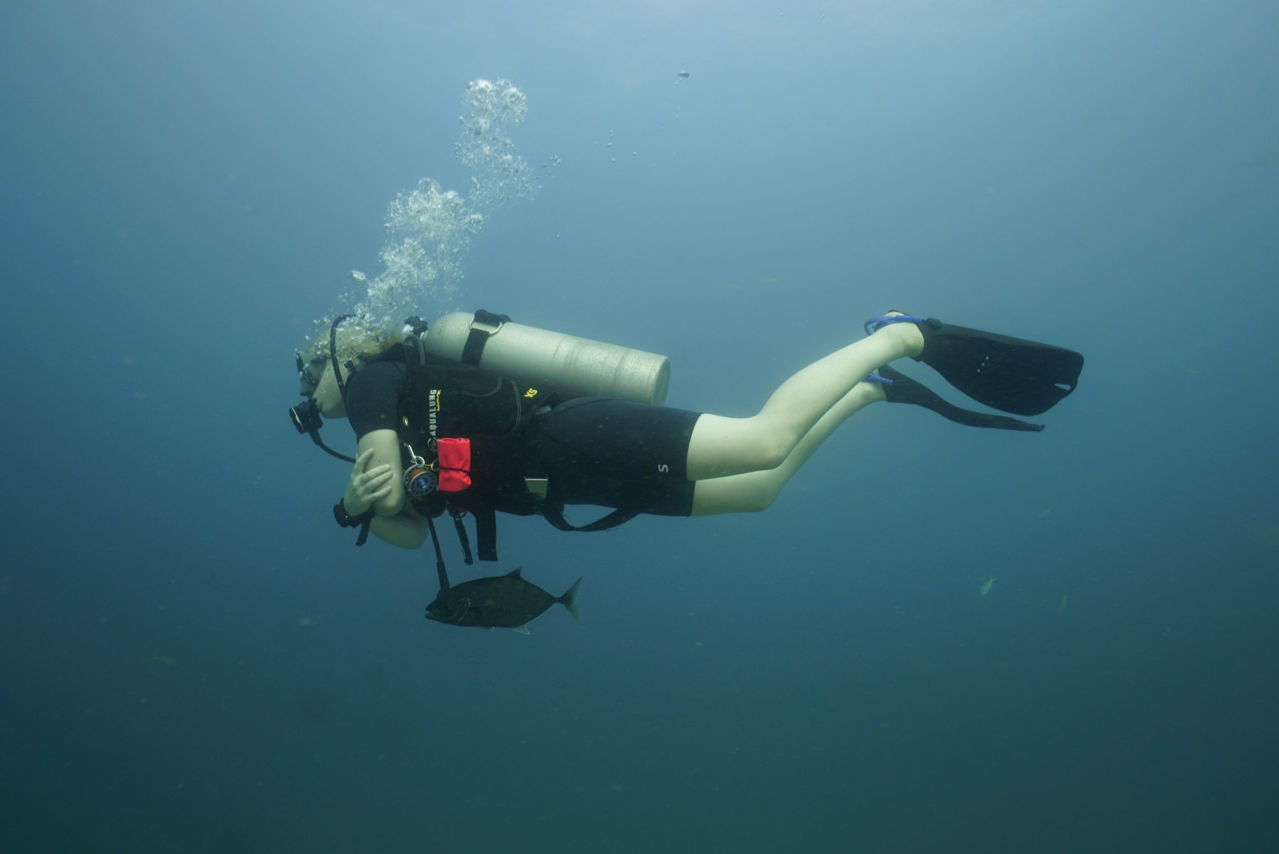 圖片_20260422223725 – Simple Life Divers Koh Tao Thailand