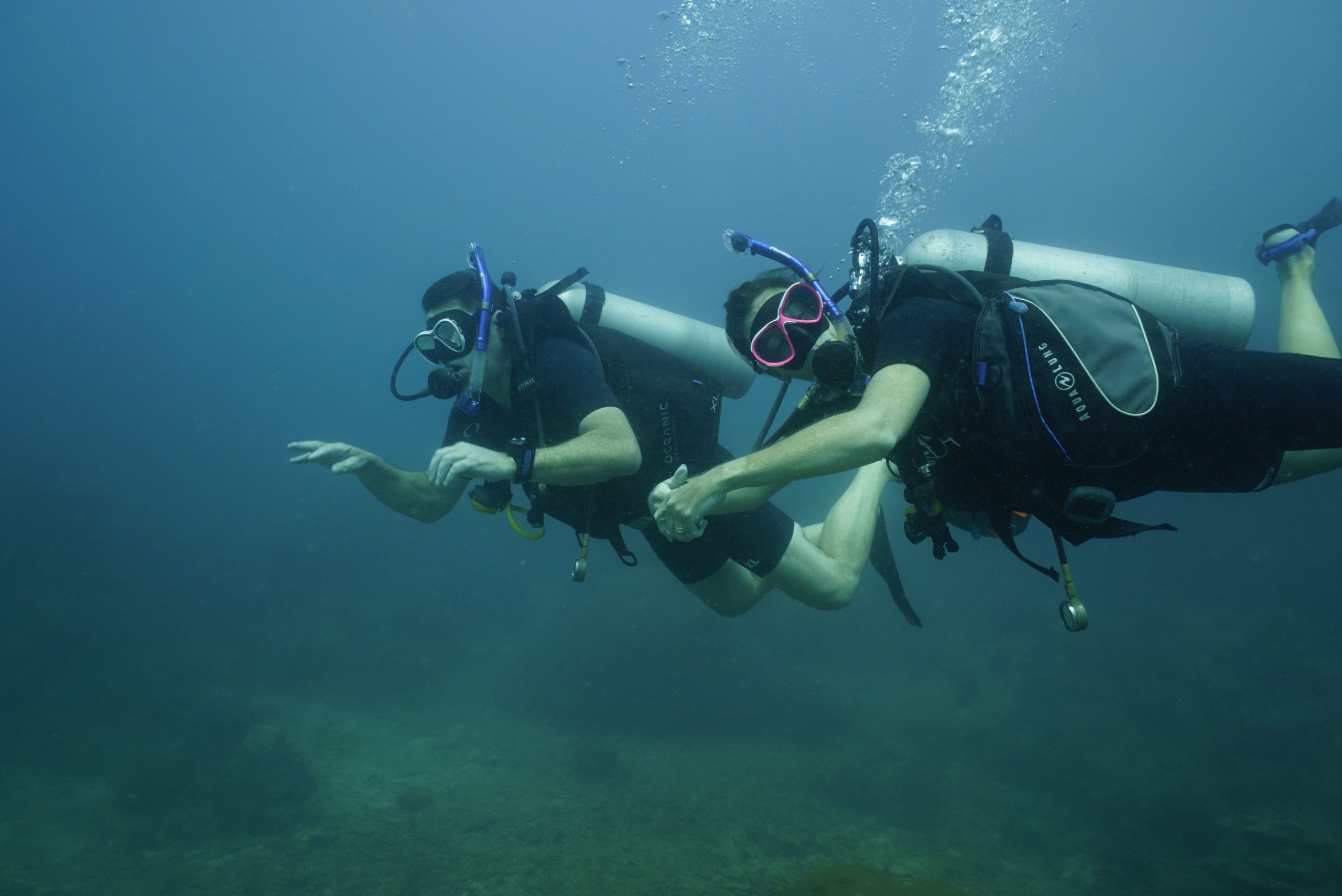 圖片_20260422225346 – Simple Life Divers Koh Tao Thailand