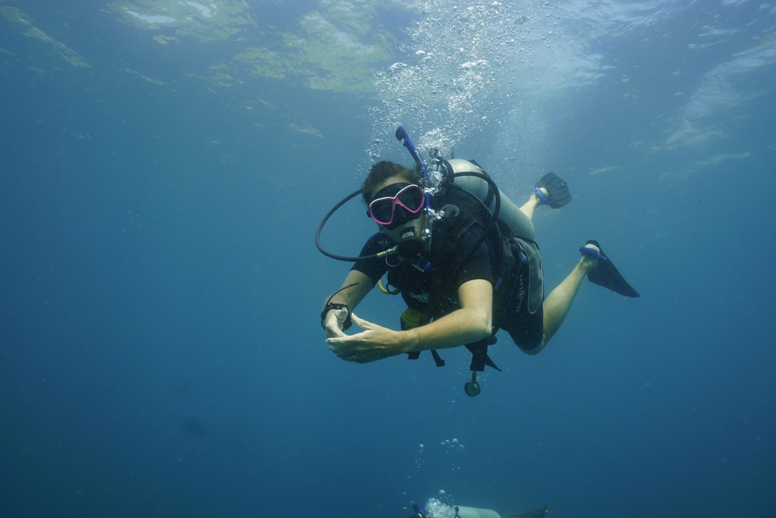 圖片_20260422225407 – Simple Life Divers Koh Tao Thailand